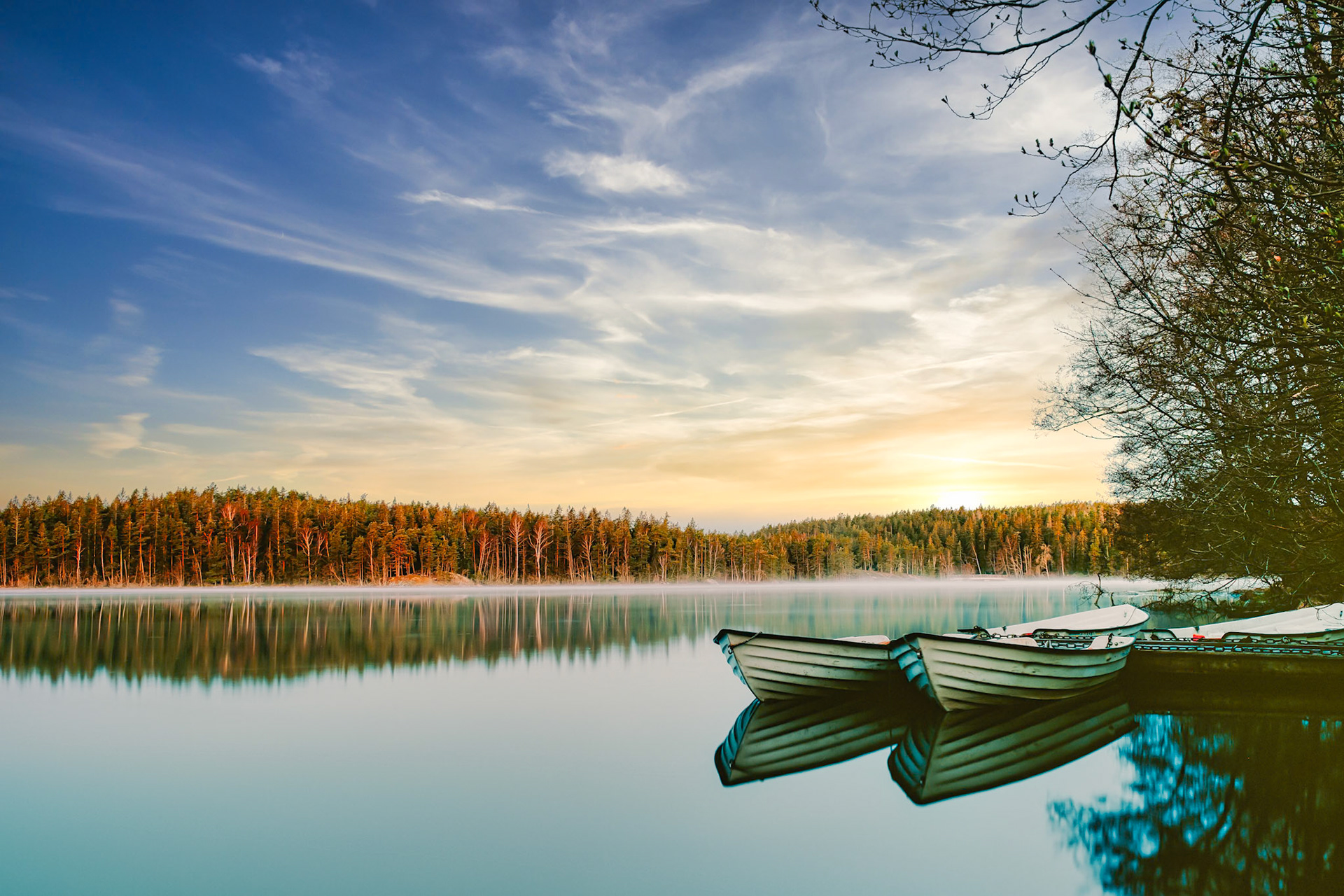 Two wooden rowboats drift on the glassy waters of Albysjön in Tyresö, their reflections framed by golden pines and pastel evening clouds in this serene Swedish sunset.