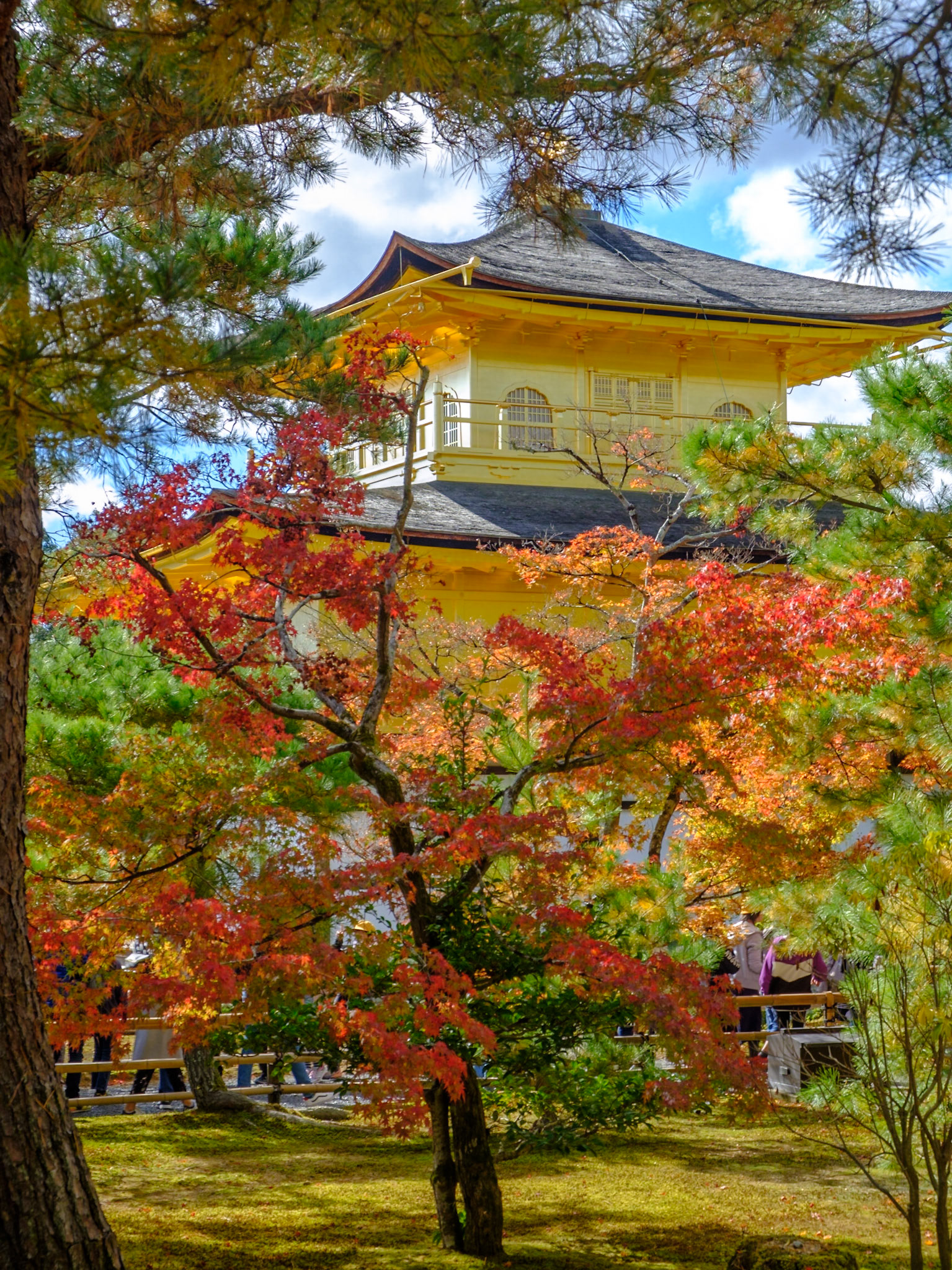 Temple of the Golden Pavilion (Kinkaku-ji (金閣寺) is surreal in its beauty. The top two stories of the pavilion are covered with pure gold leaf.