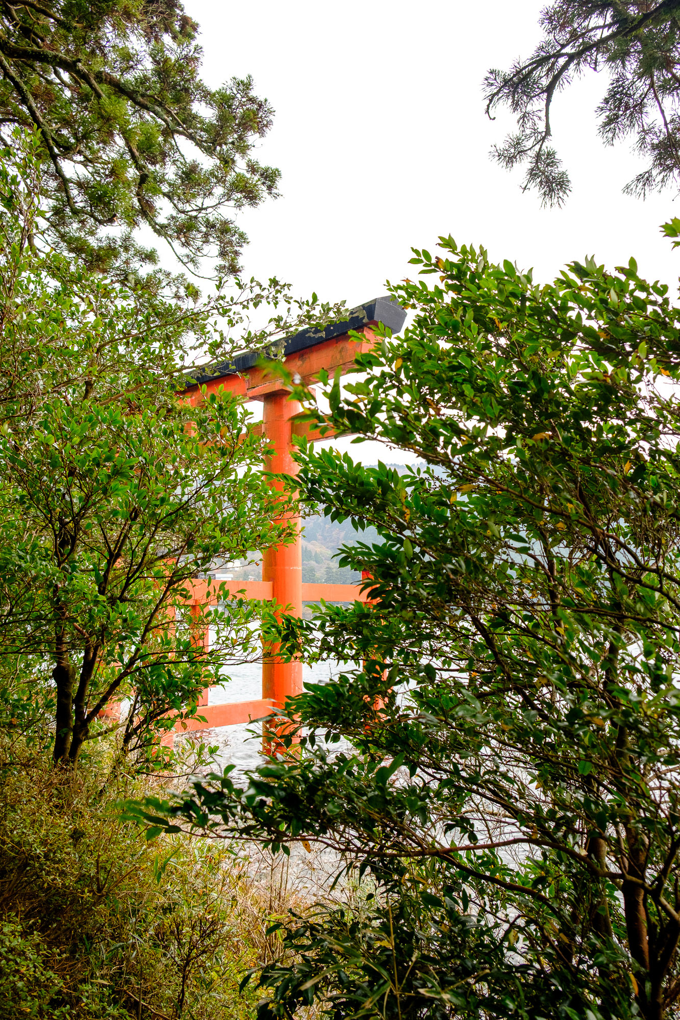 Tourists at the Peace Torii gate Heiwa no Torii on Lake Ashi Hakone