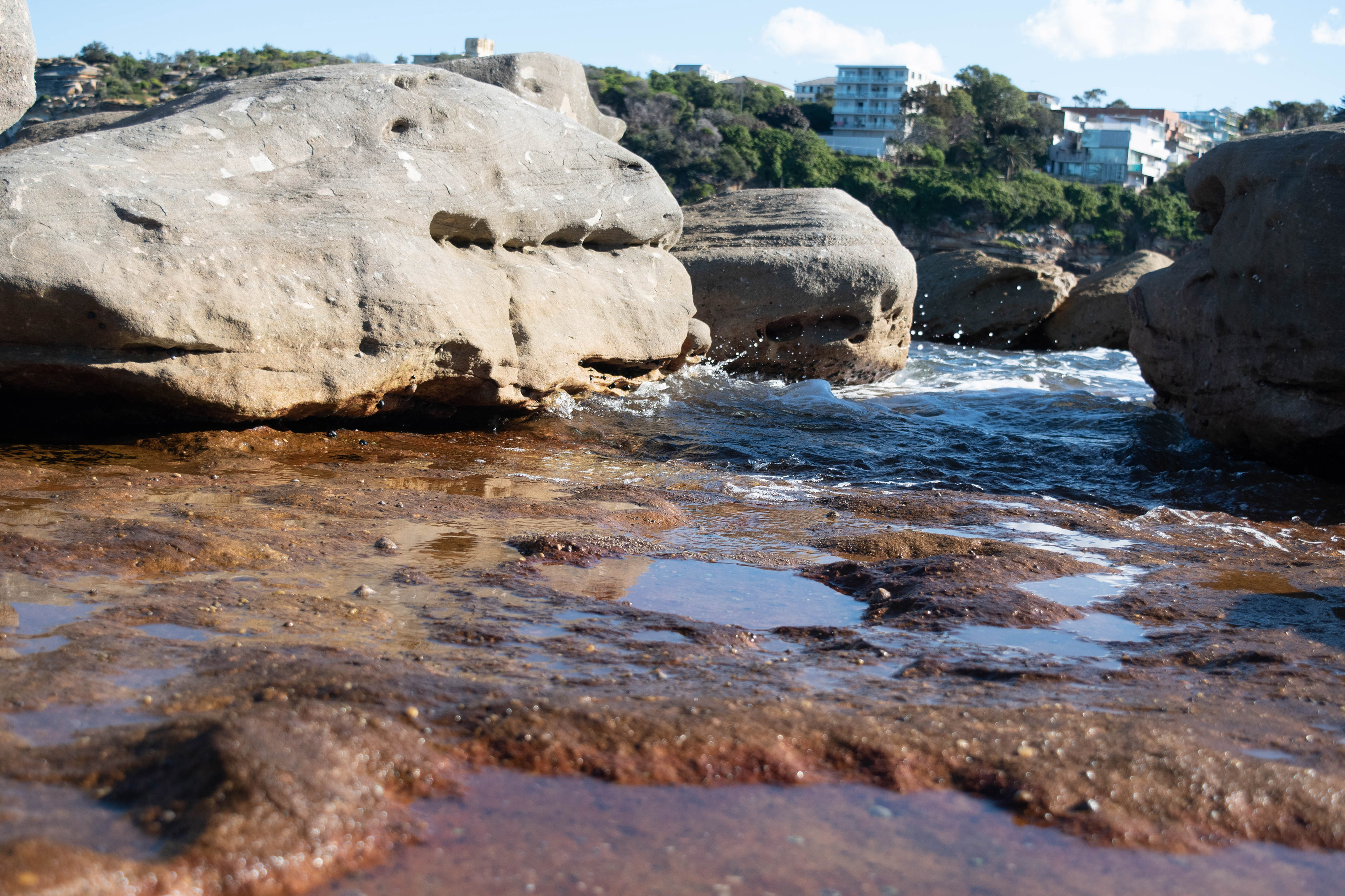 The rocky shoreline and tide pools of Clovelly beach, May 26, 2019.