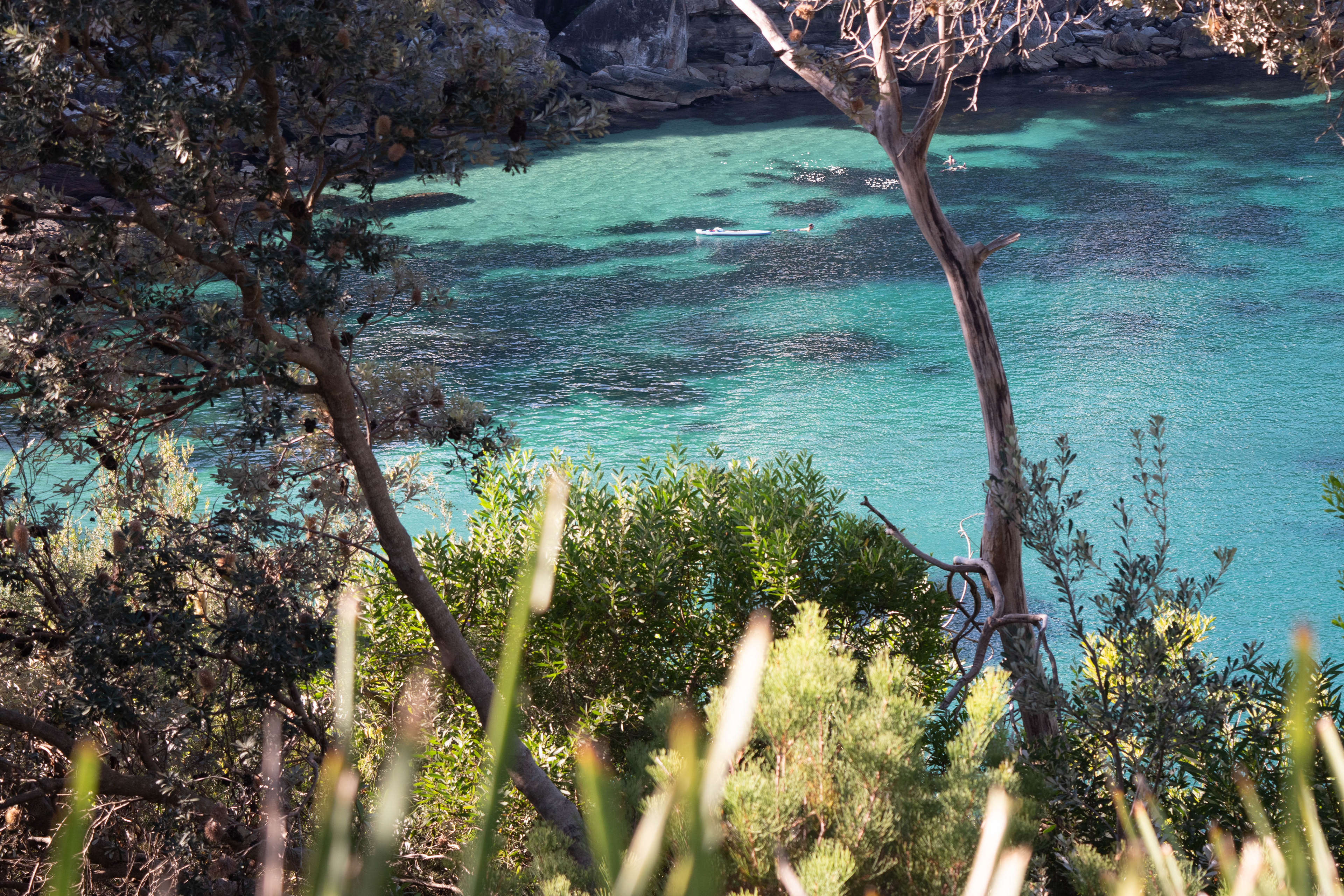 The view of Gordon’s Bay along the Maroubra-Bondi Costal Walk, May 26, 2019. Costal walks are developed walking paths that hug the coast lines, and the Maroubra-Bondi walk is popular for locals and tourists alike.