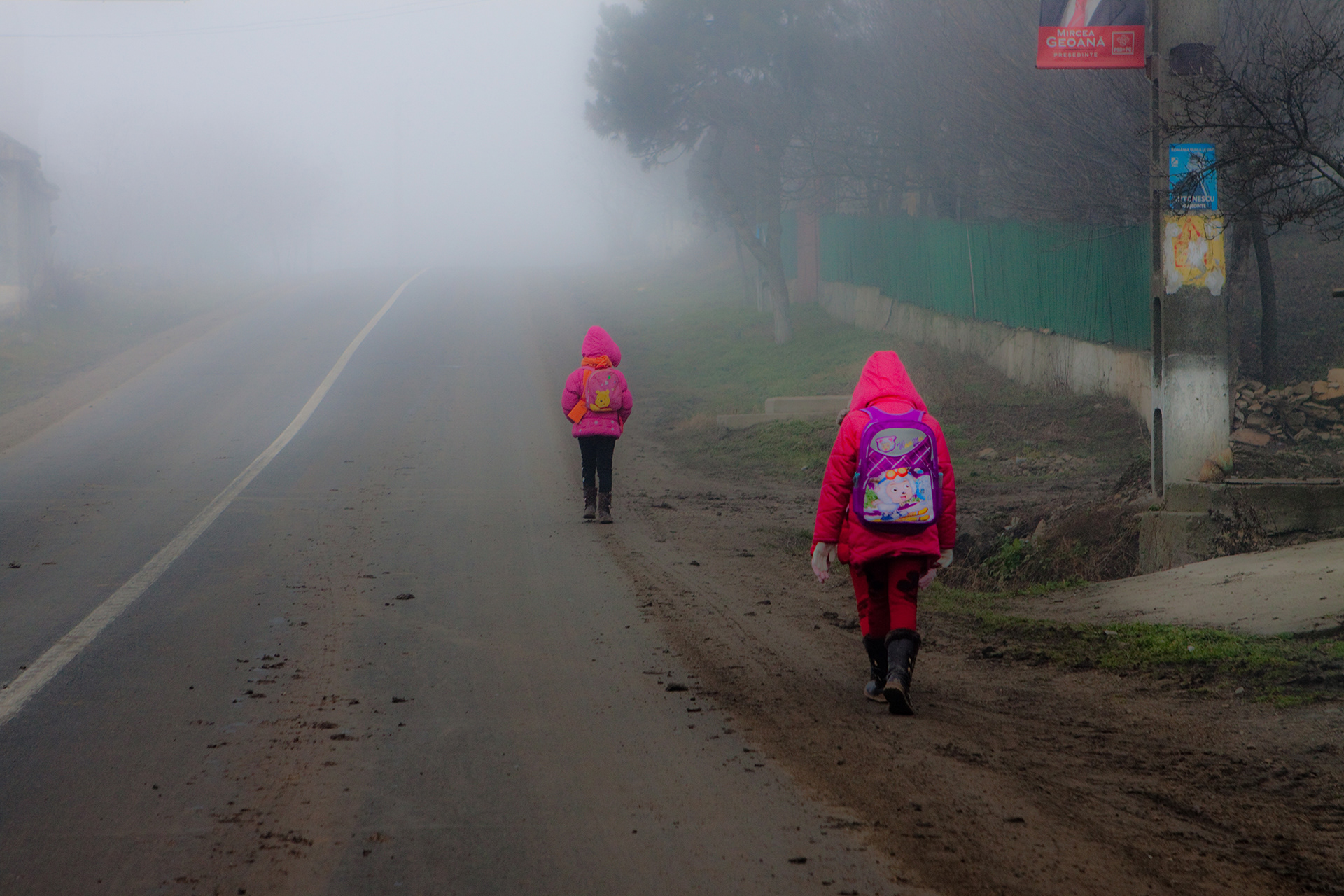 Dobrogea 2010