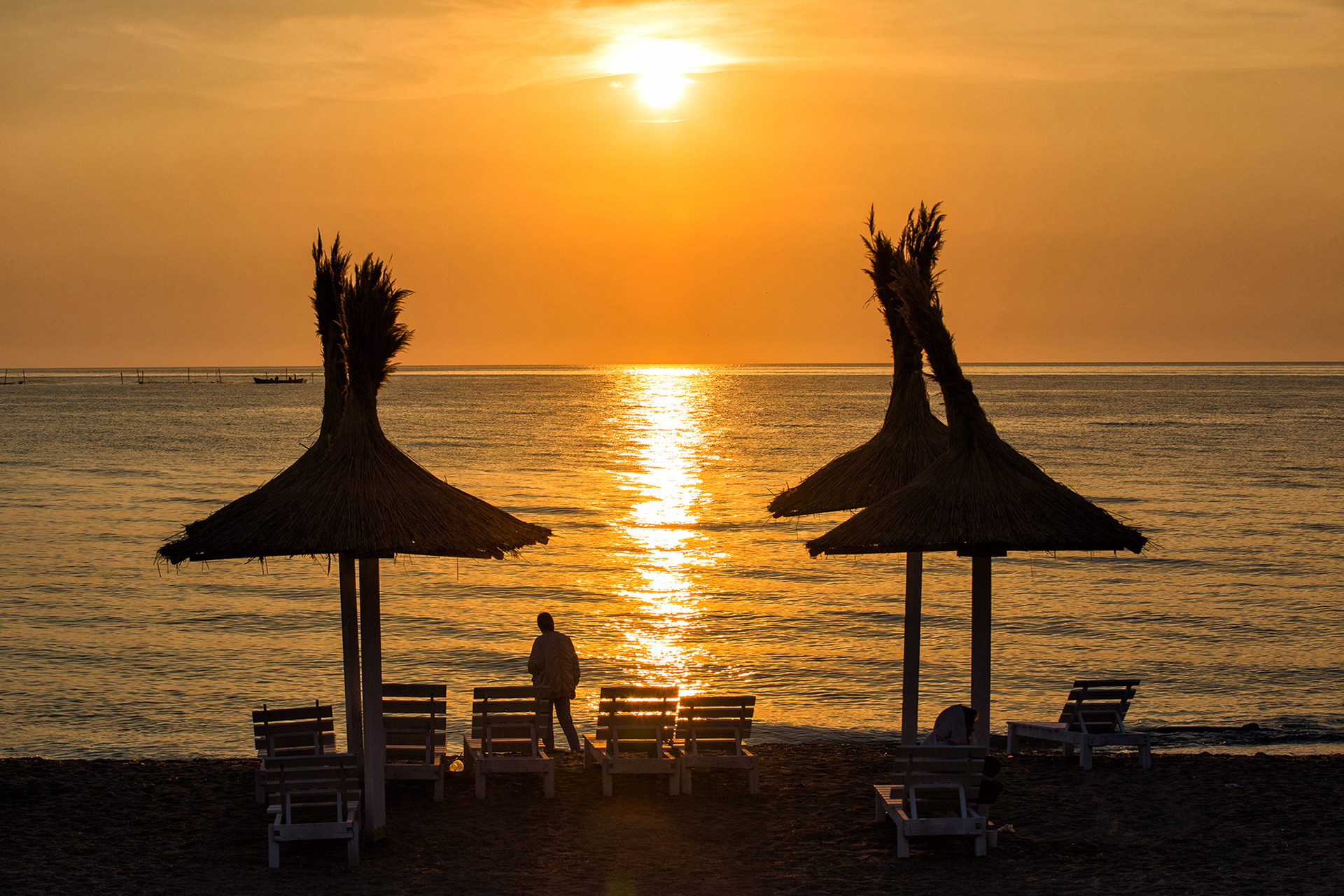 Vama