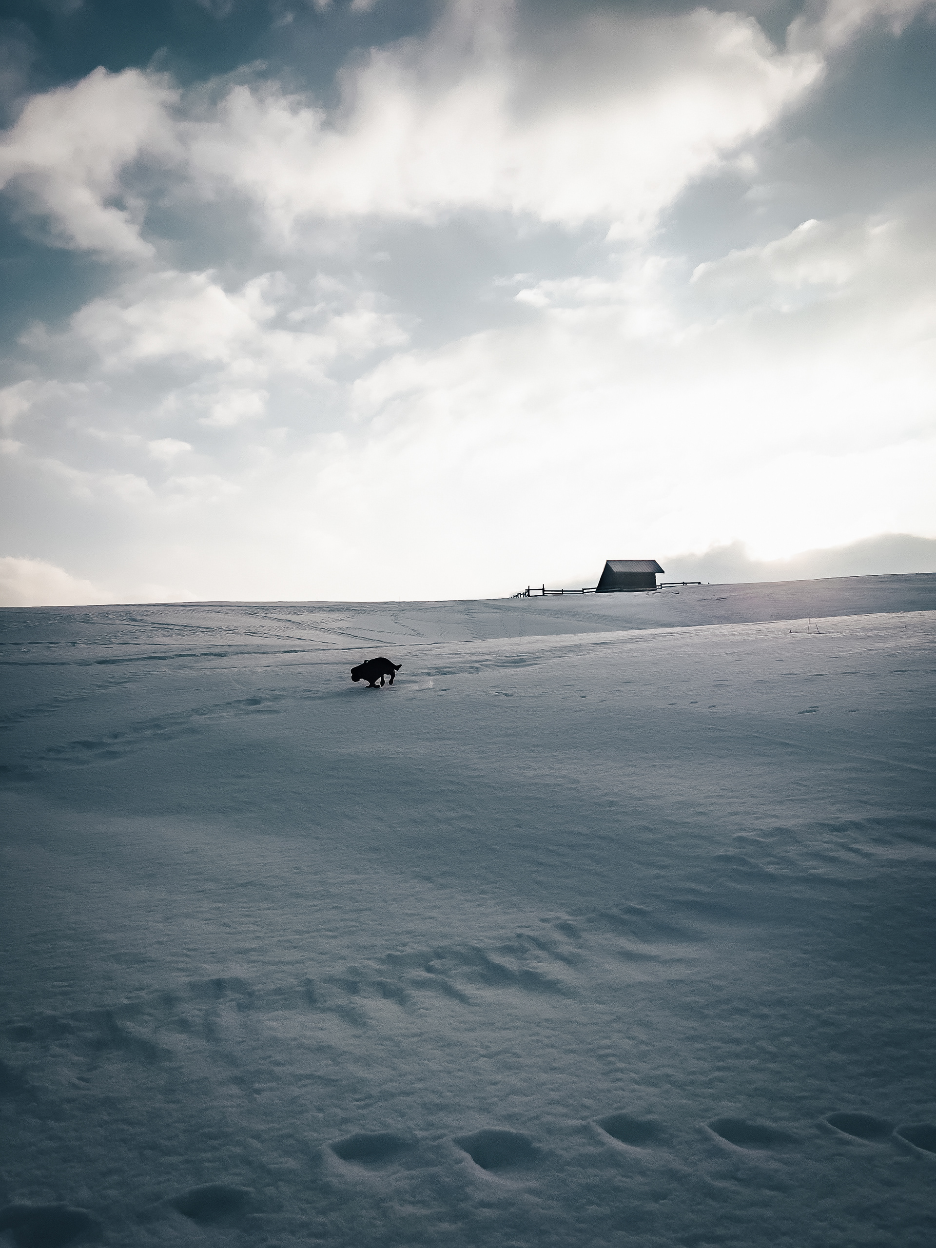 Col De Cenise