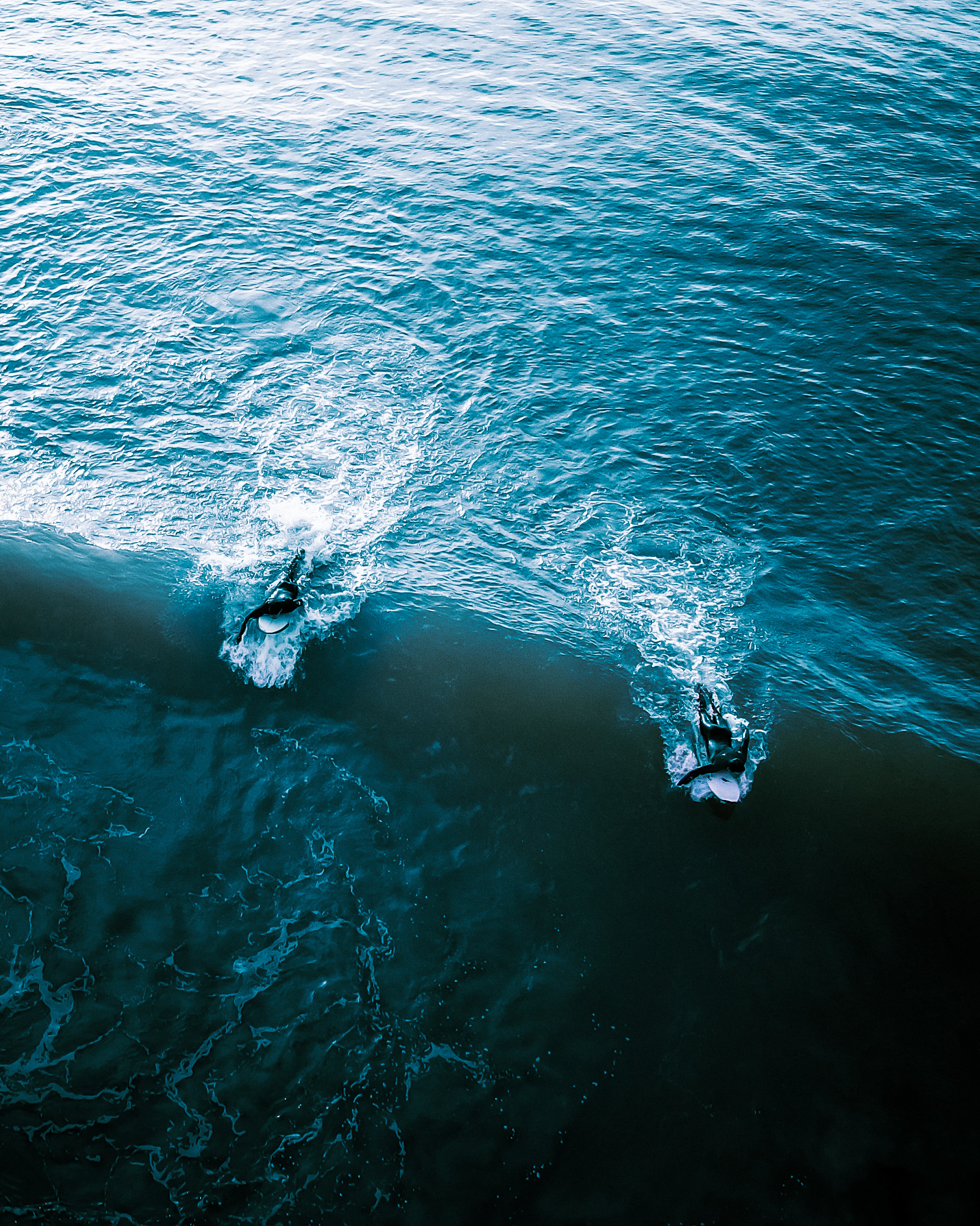 Biarritz - Surf