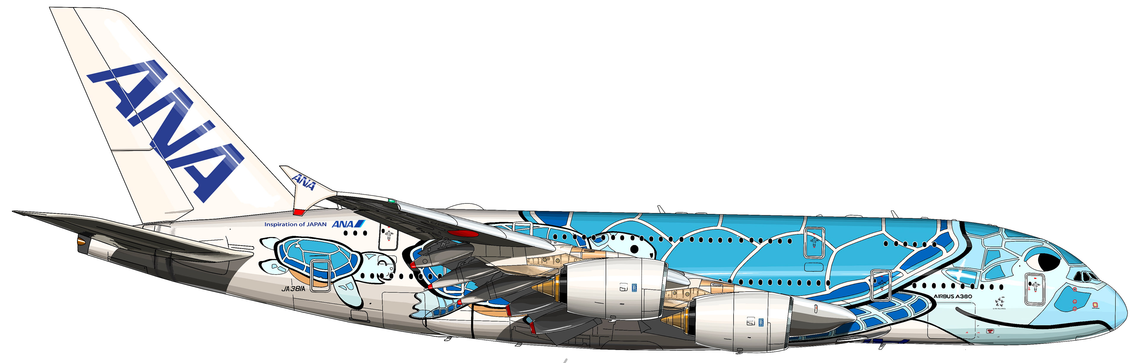A380 ANA ホヌ　フライングホヌ　イラスト　