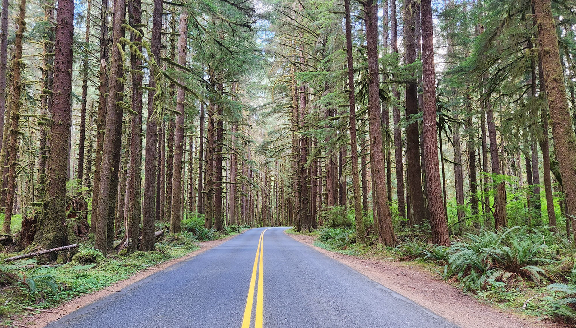 Olympic National Park