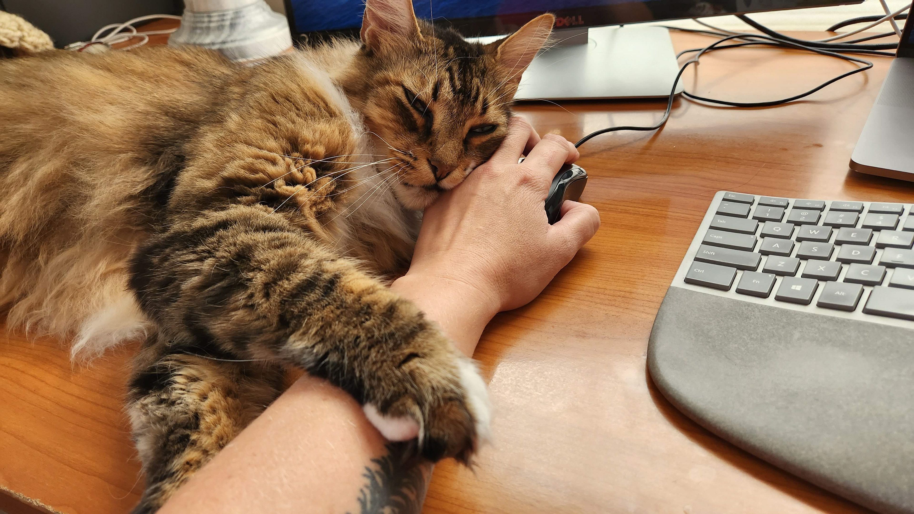 My coworker Titan