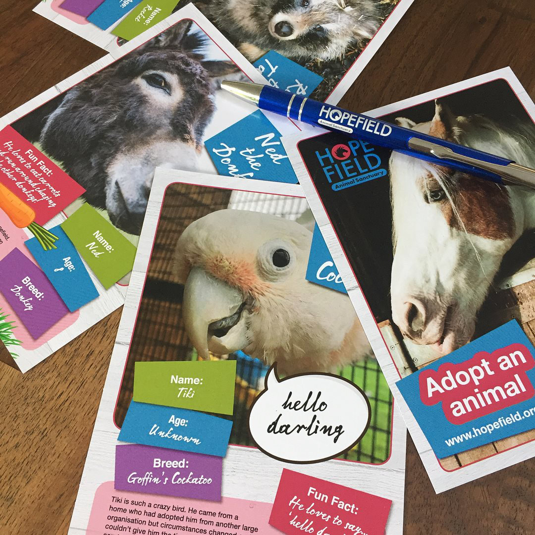 Animal Postcards & Pens