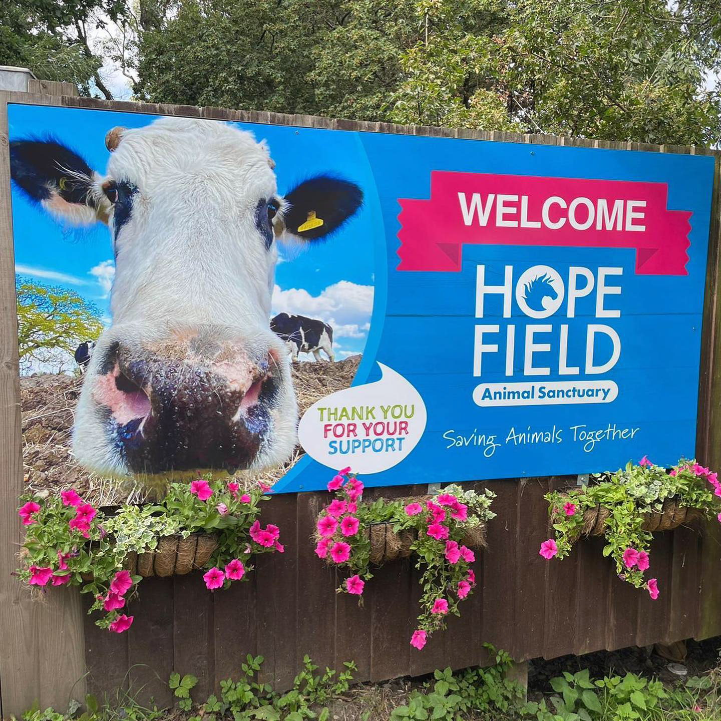 New Welcome Signage