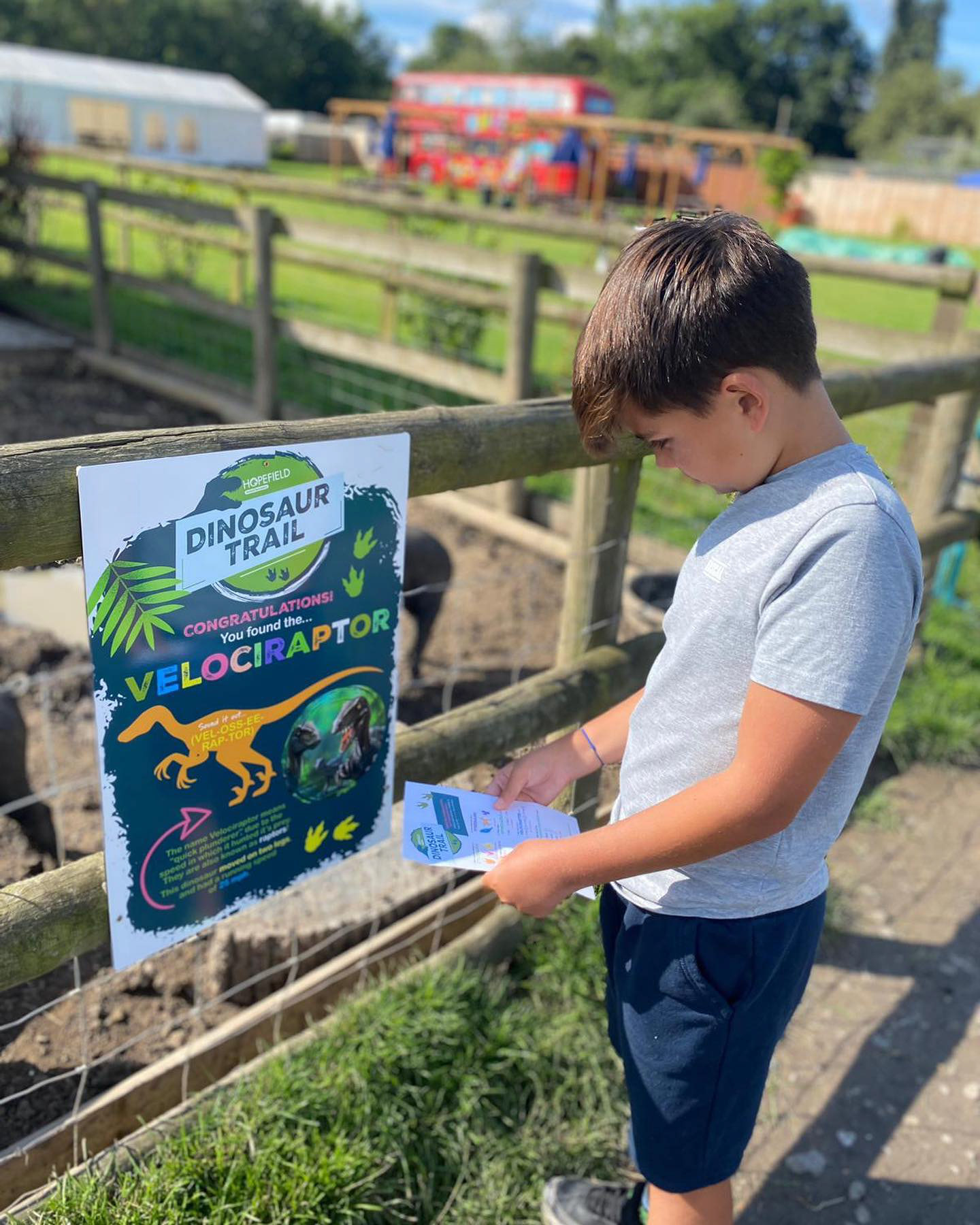 Dinosaur Trail