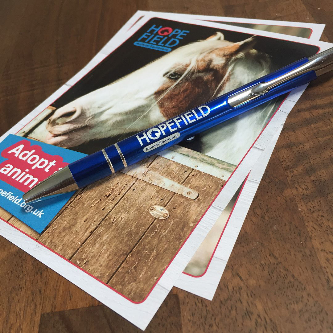 Animal Postcards & Pens