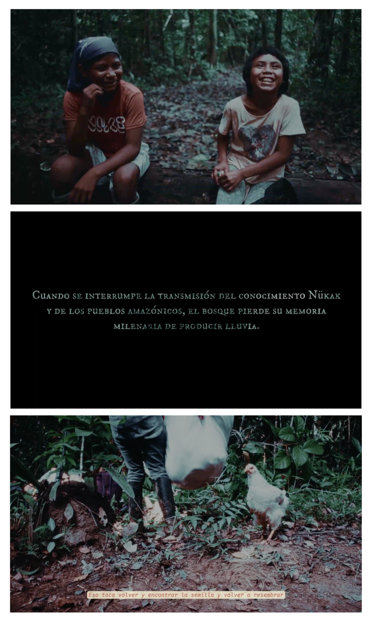 Detalles del Video El conocimiento camina con nosotros.
