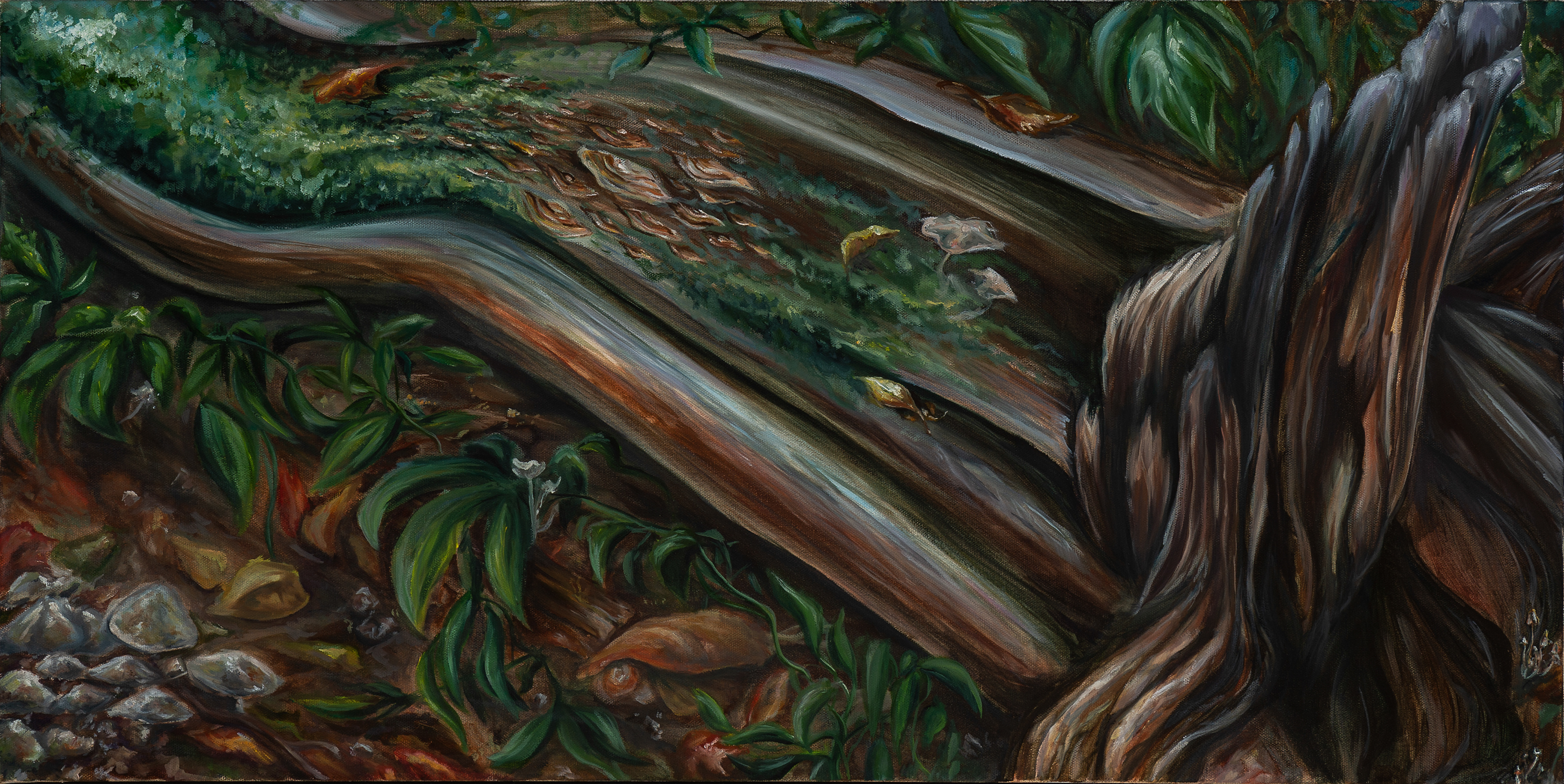 A Log in the Woods, 2021, 18"x36"