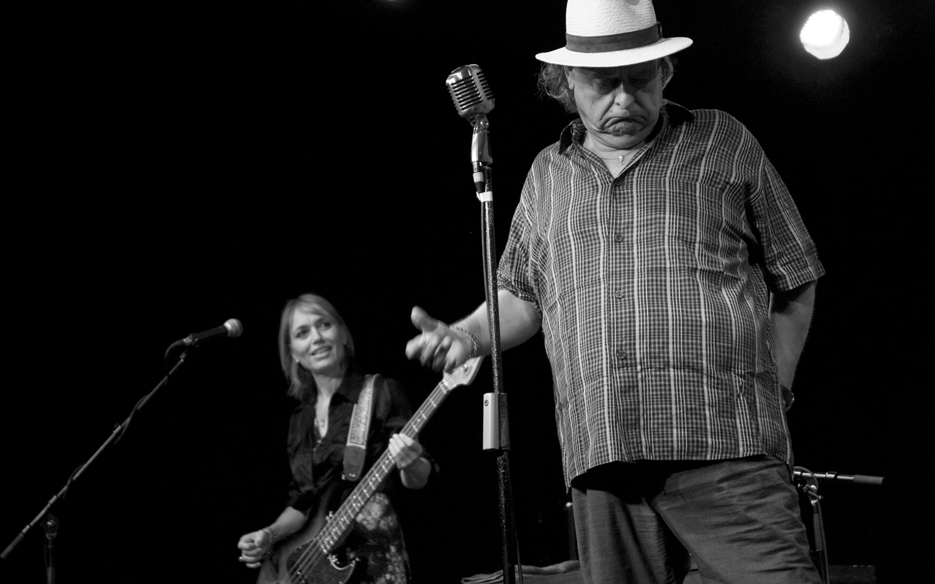Stiller Has, Stein am Rhein, 2013
