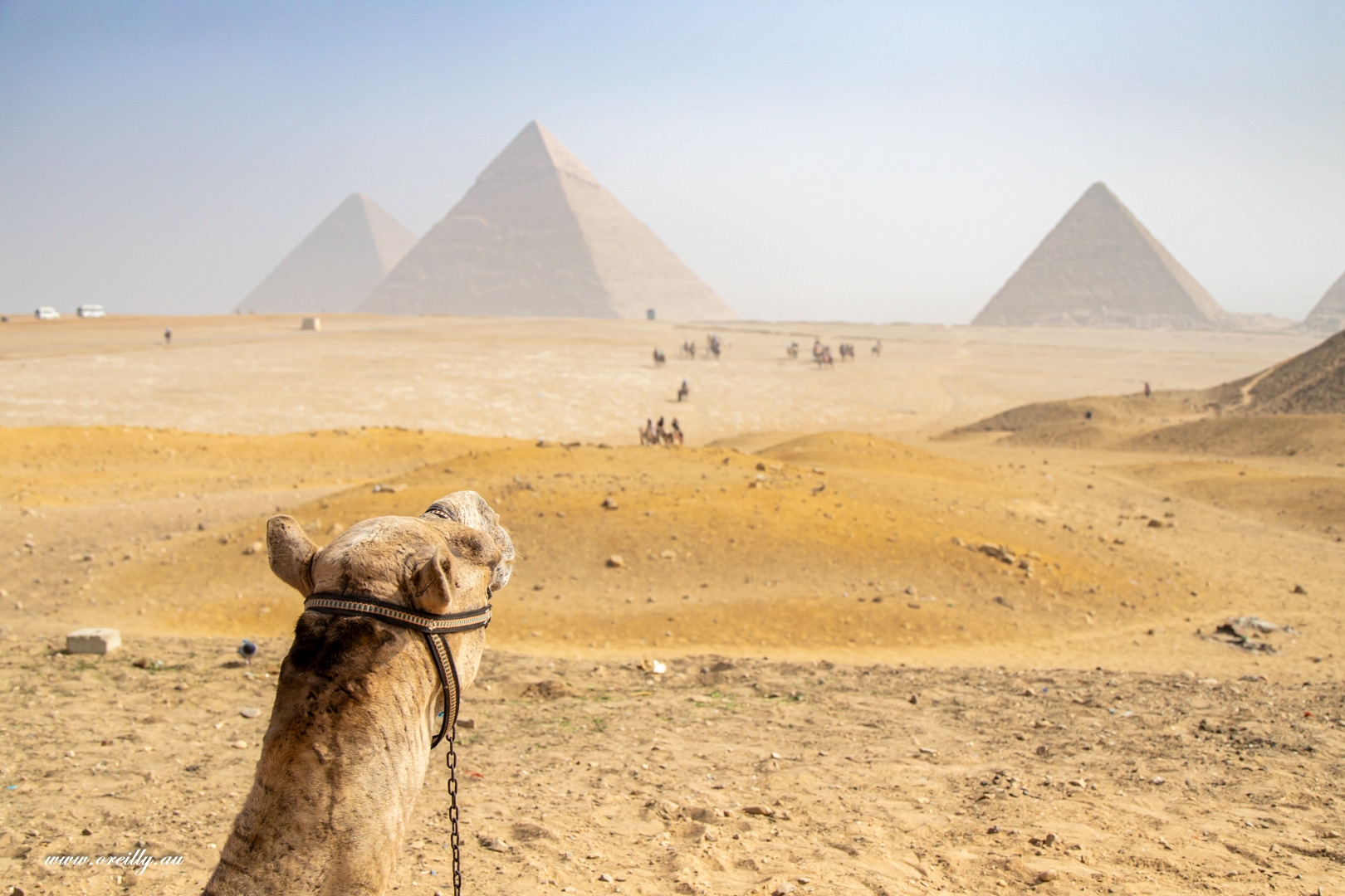 Giza Plains 02