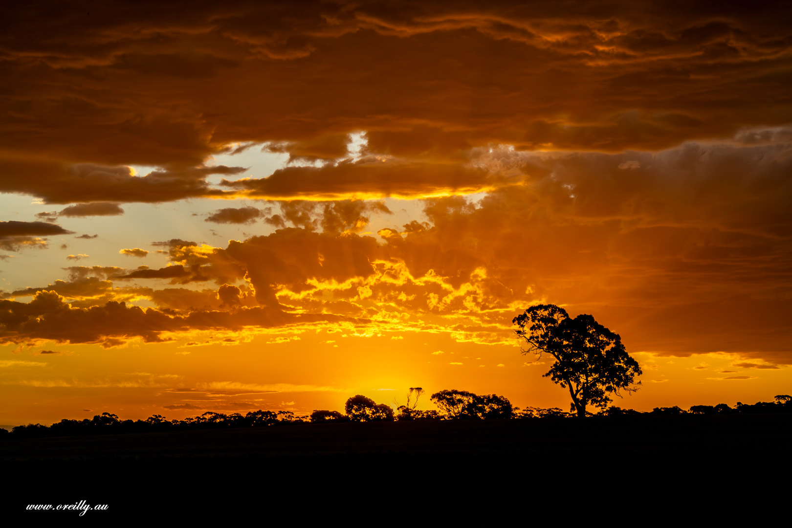 Nuri Sunset