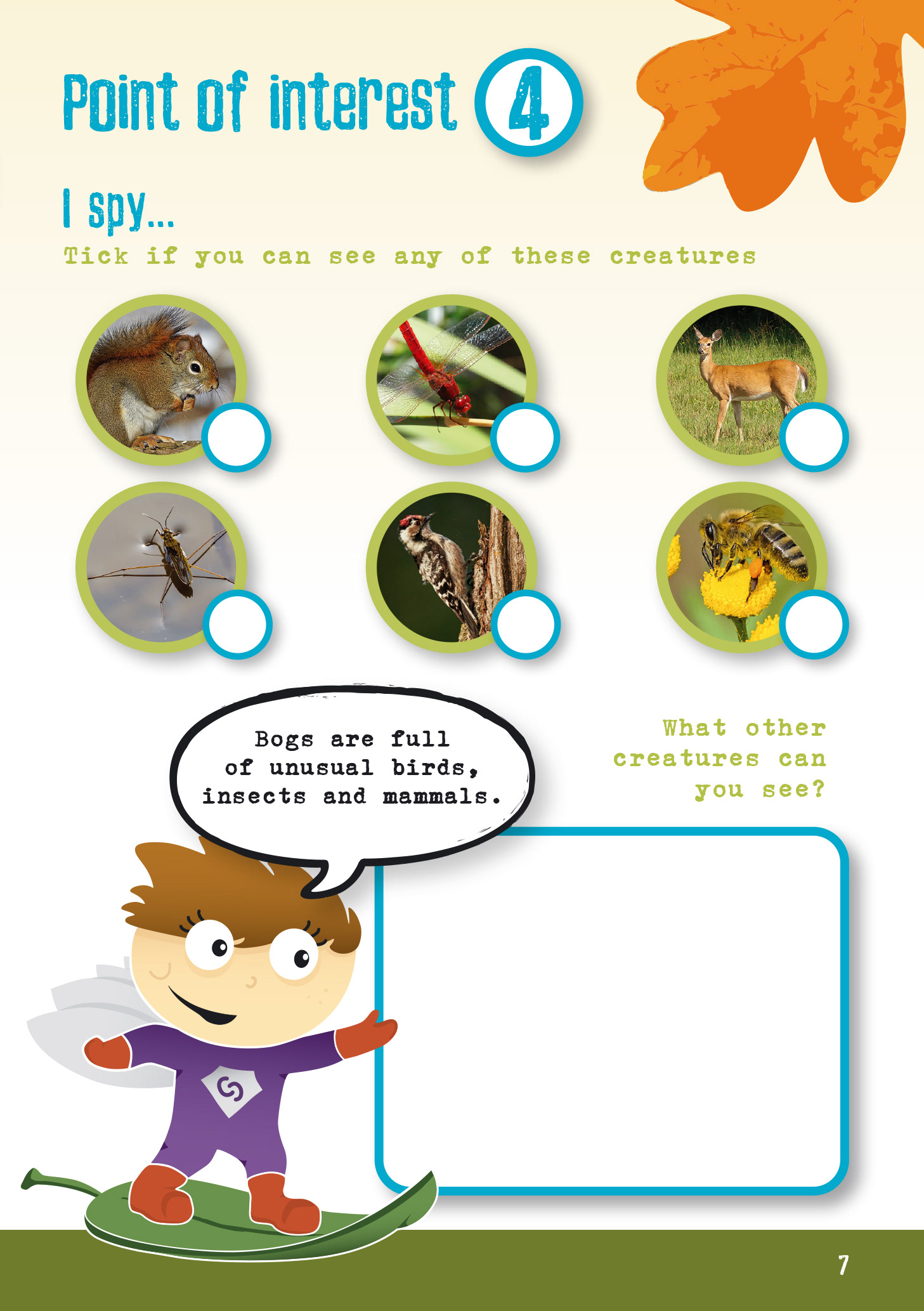 Booklet design inside page