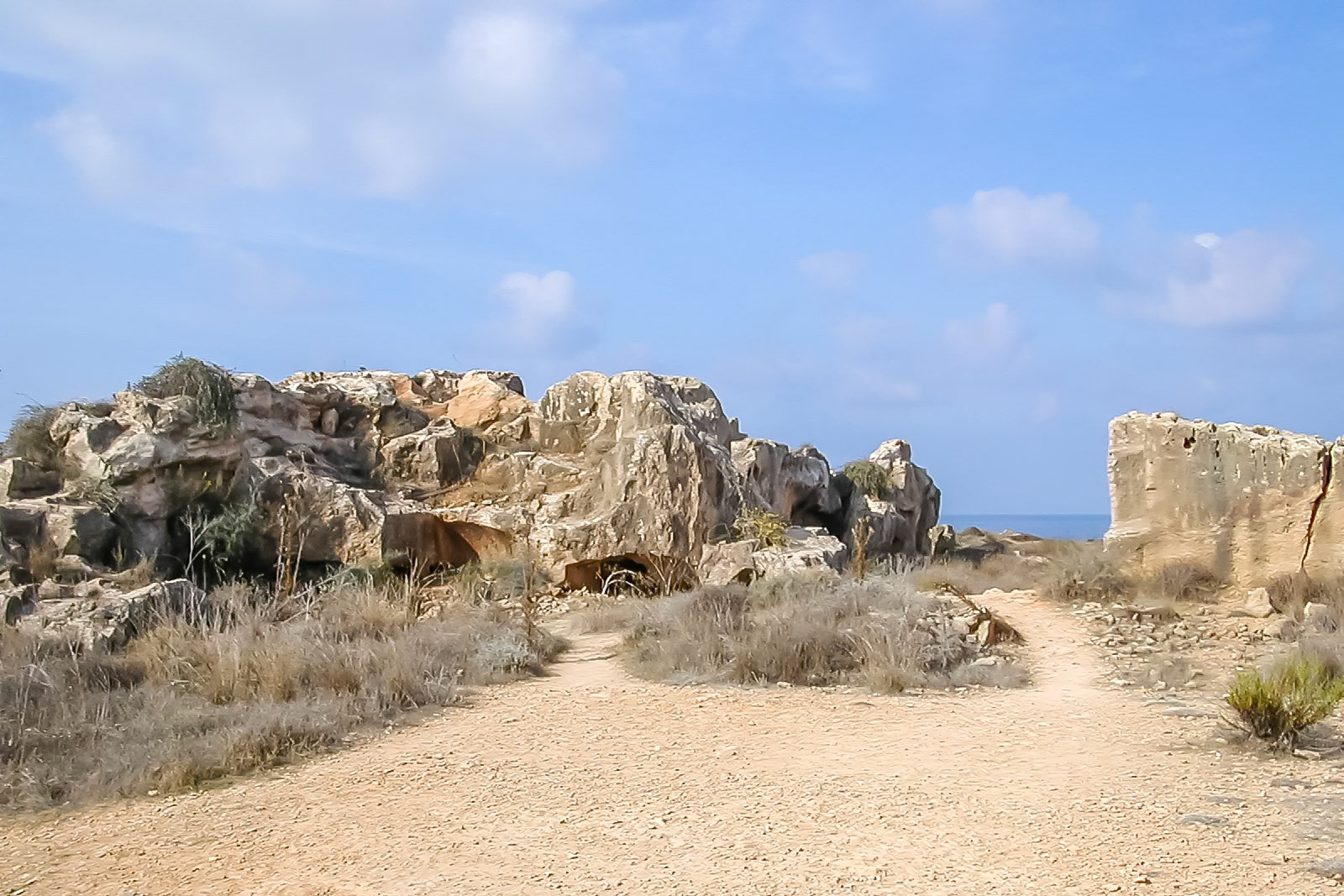 File Name            :DSCN0561.JPGFile Size            :603.4KB(617901Bytes)Date Taken           :0000/00/00 00:00:00Image Size           :1600 x 1200Resolution           :300 x 300 dpiNumber of Bits       :8bit/channelProtection Attribute :OffHide Attribute       :OffCamera ID            :N/ACamera               :E775Quality Mode         :FINEMetering Mode        :MatrixExposure Mode        :Programmed AutoSpeed Light          :NoFocal Length         :5.8 mmShutter Speed        :1/282.3secondAperture             :F7.9Exposure Compensation:0 EVWhite Balance        :AutoLens                 :Built-inFlash Sync Mode      :N/AExposure Difference  :N/AFlexible Program     :N/ASensitivity          :AutoSharpening           :AutoImage Type           :ColorColor Mode           :N/AHue Adjustment       :N/ASaturation Control   :N/ATone Compensation    :NormalLatitude(GPS)        :N/ALongitude(GPS)       :N/AAltitude(GPS)        :N/A