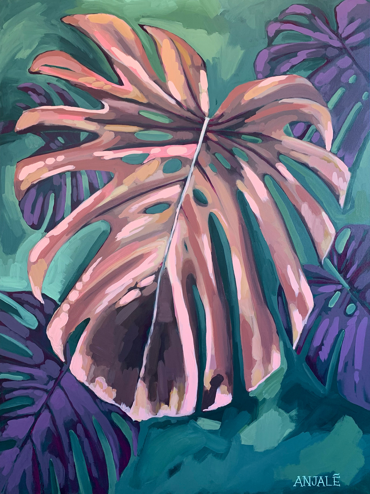 Midnight Monstera