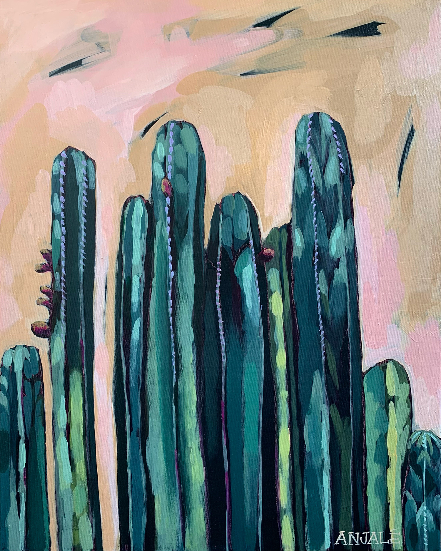Cacti + Sky