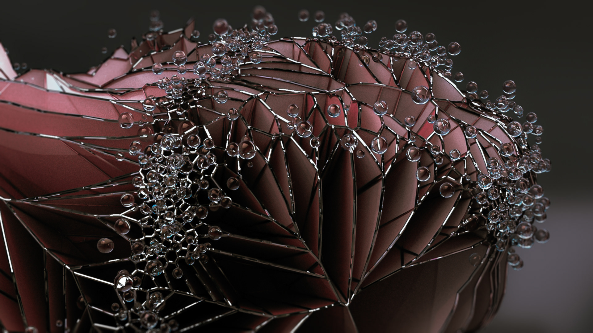 Bovine Abstract : Houdini: Basic Vex exploration using voronoi