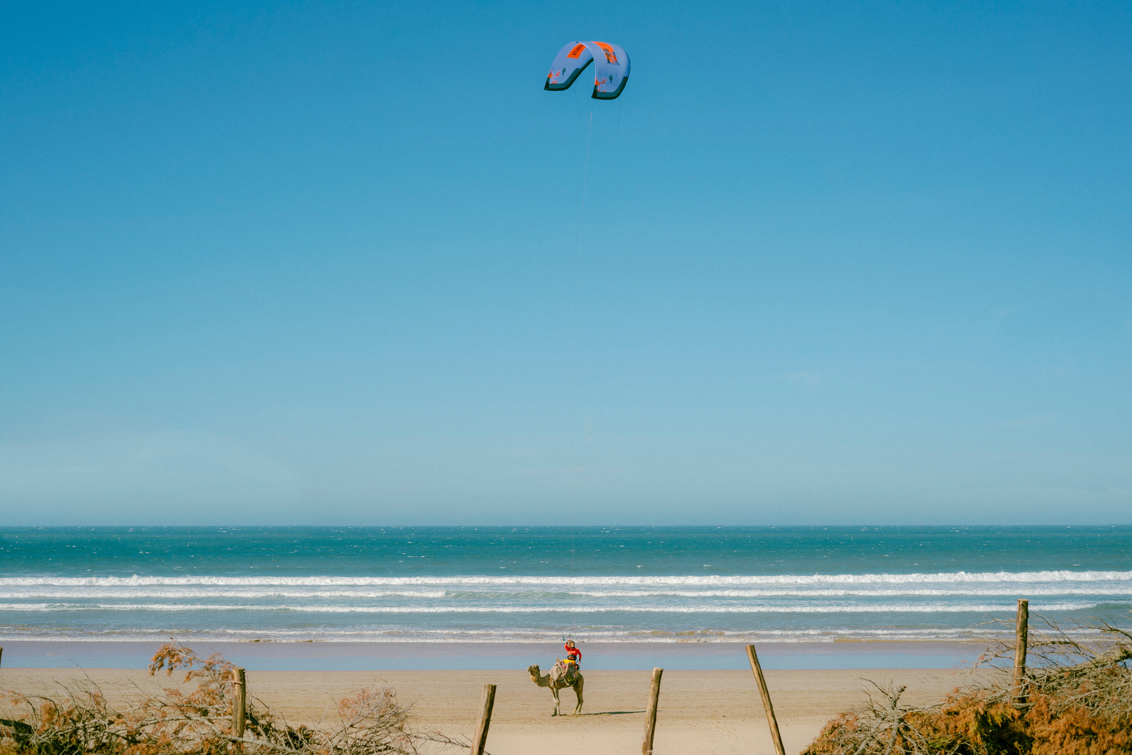 How INDIE are you? featuring Theo de Ramecourt