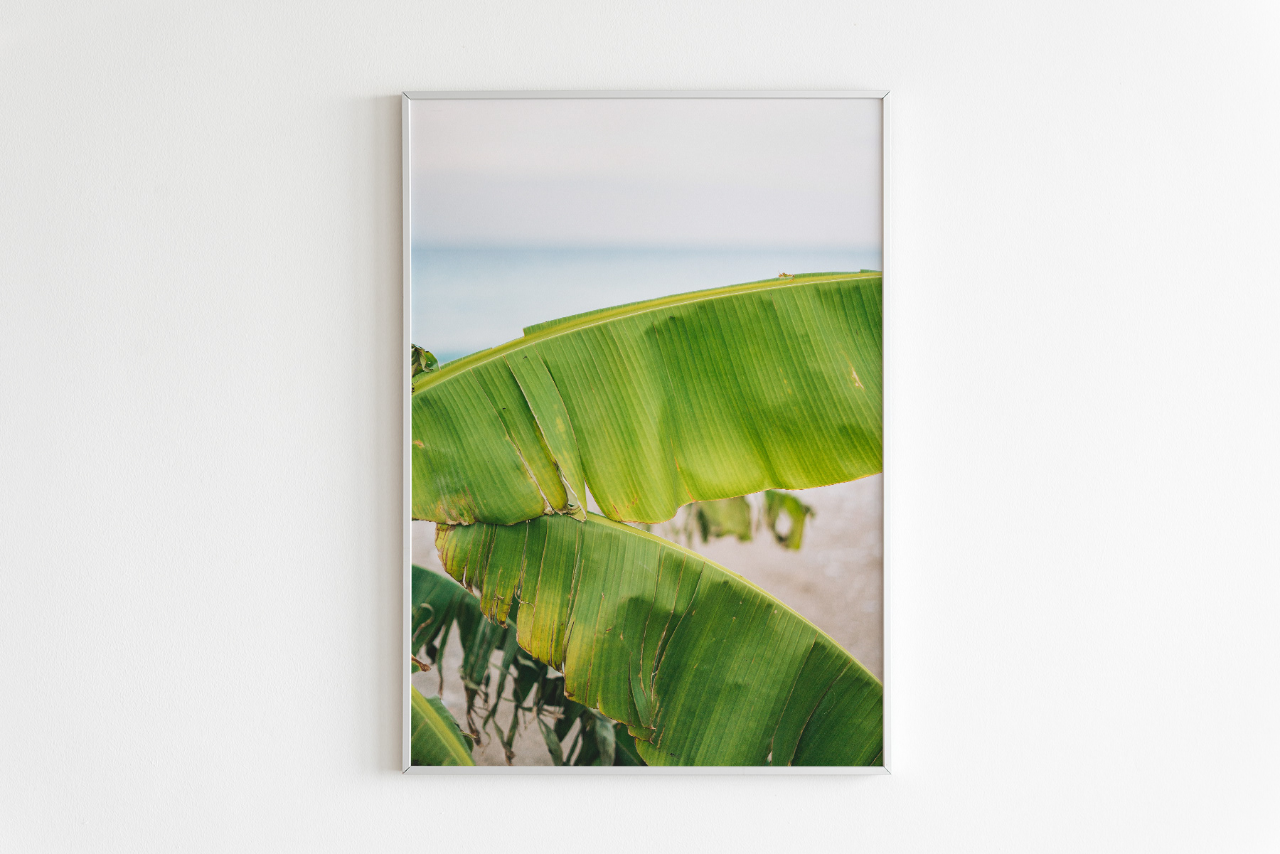 Nr•15 / Morning Greens