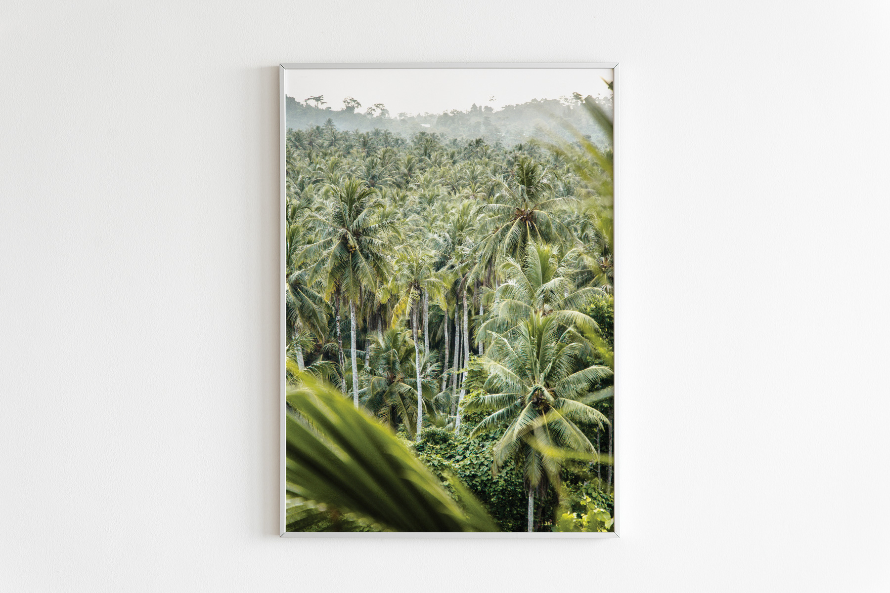 Nr•3 / Jungle