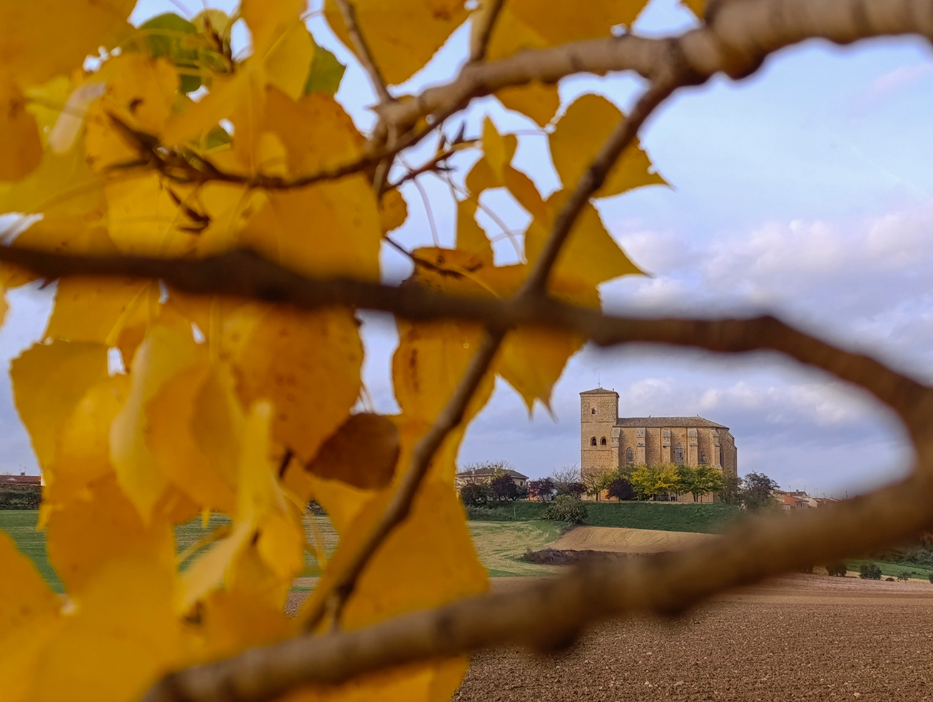 Iglesia Ntra. Sra. de la Asunción, Villatuerta.