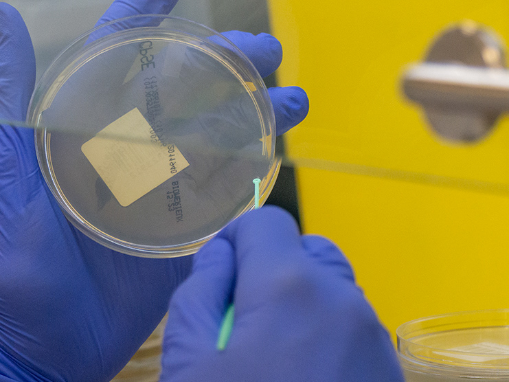 Laboratorio de microbiología.