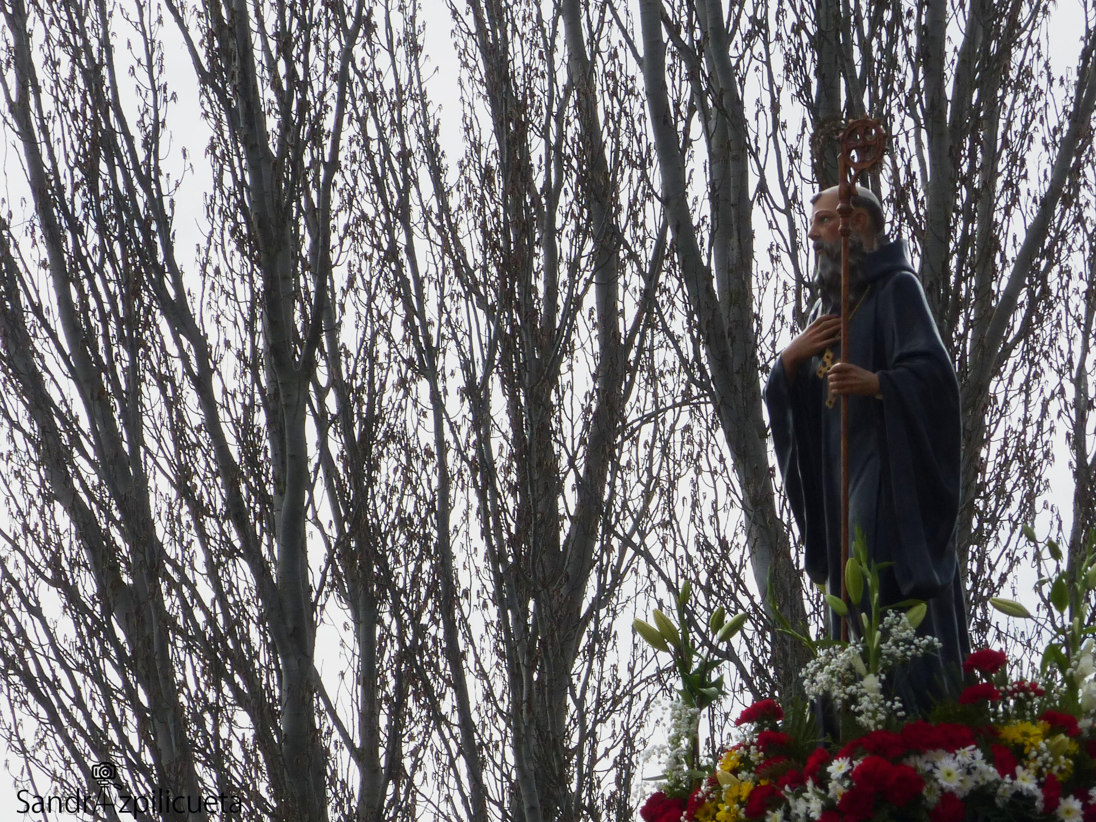 Procesión de San Veremundo