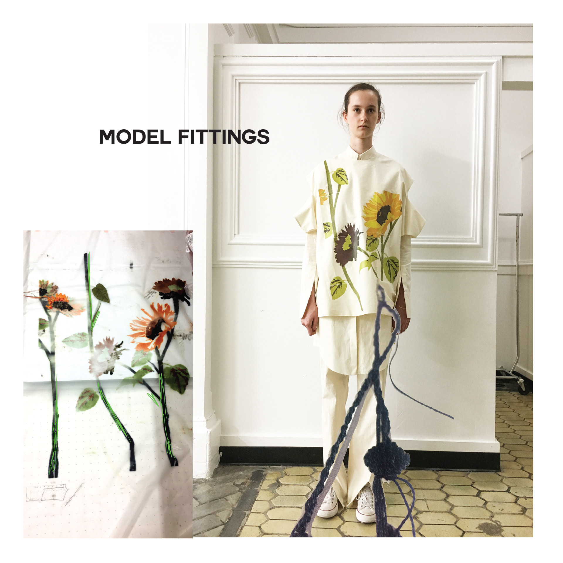 Model fitting of toile