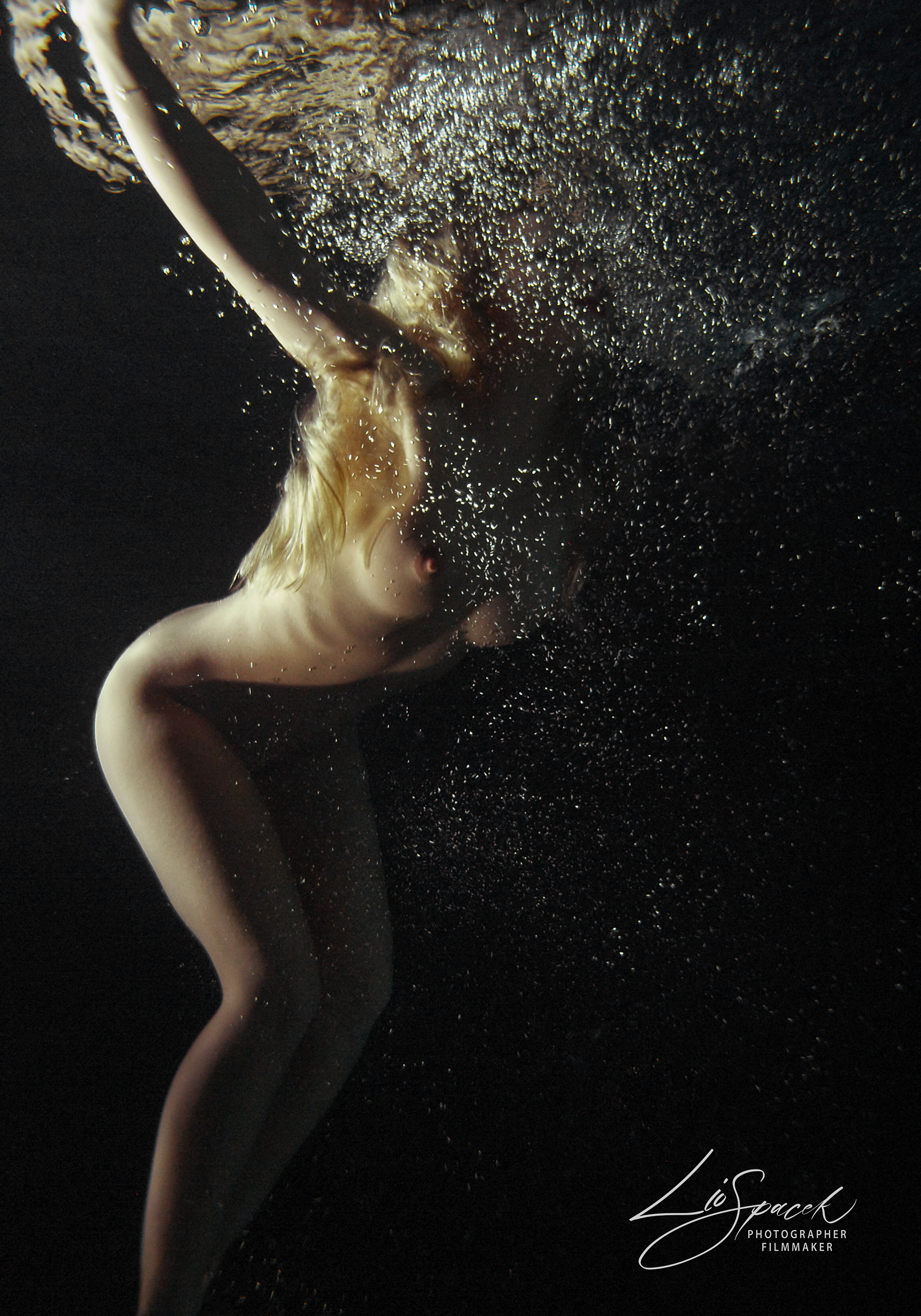 Tree - size 80x56cm - the photograph is signed and numbered by the author on the back, including an author's certificate (5 originals)