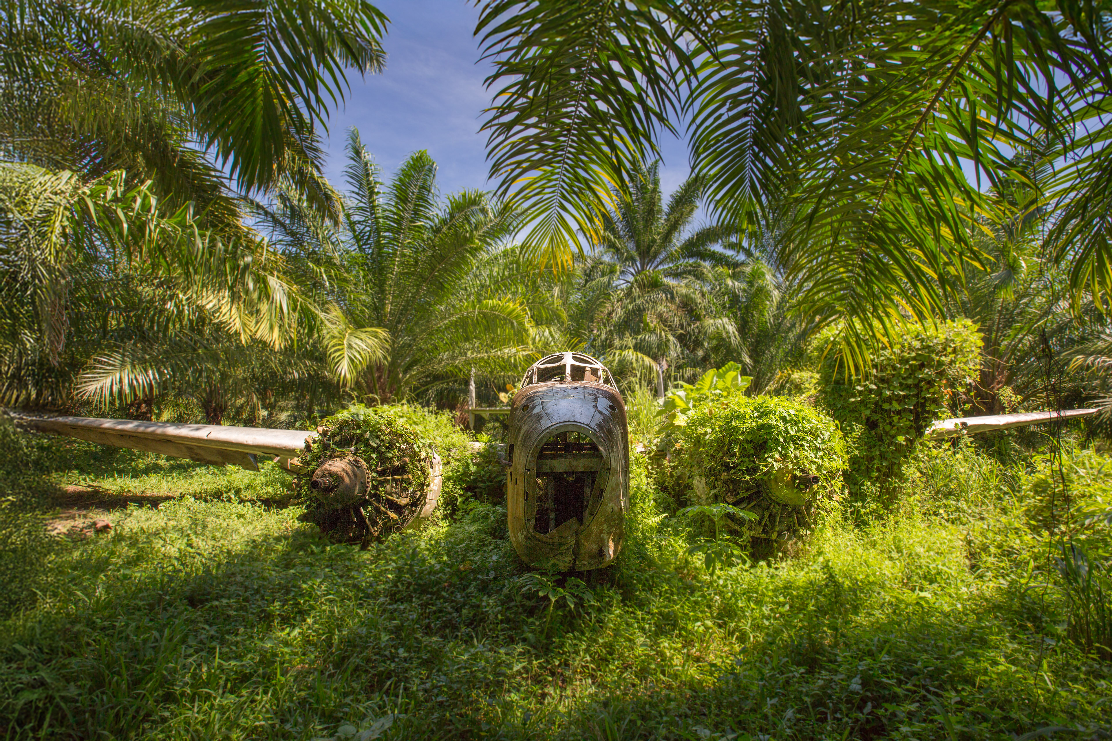 World War II Plane Wreck / Papua New Guinea