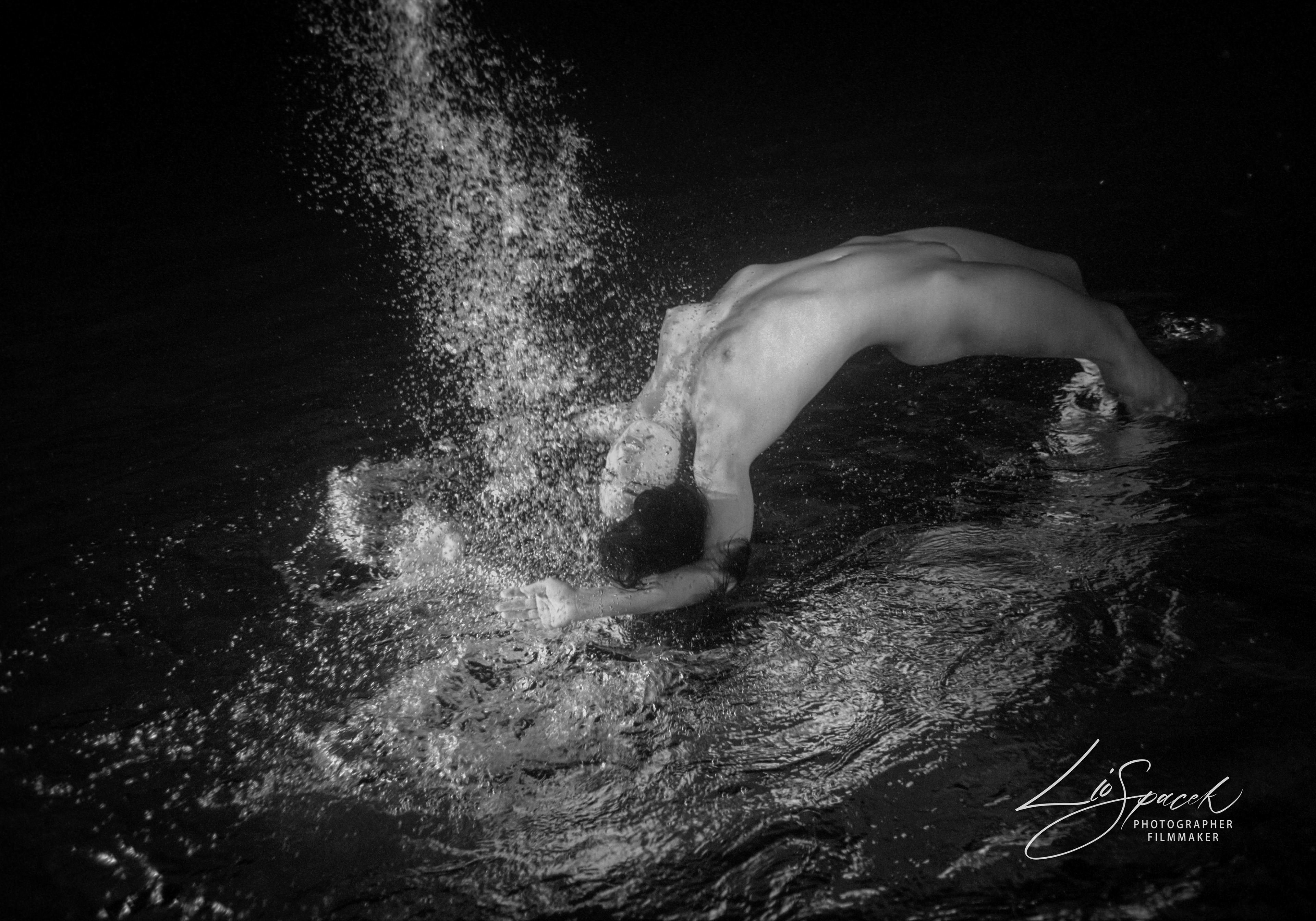 Bow - size 80x56cm - the photograph is signed and numbered by the author on the back, including an author's certificate (5 originals)