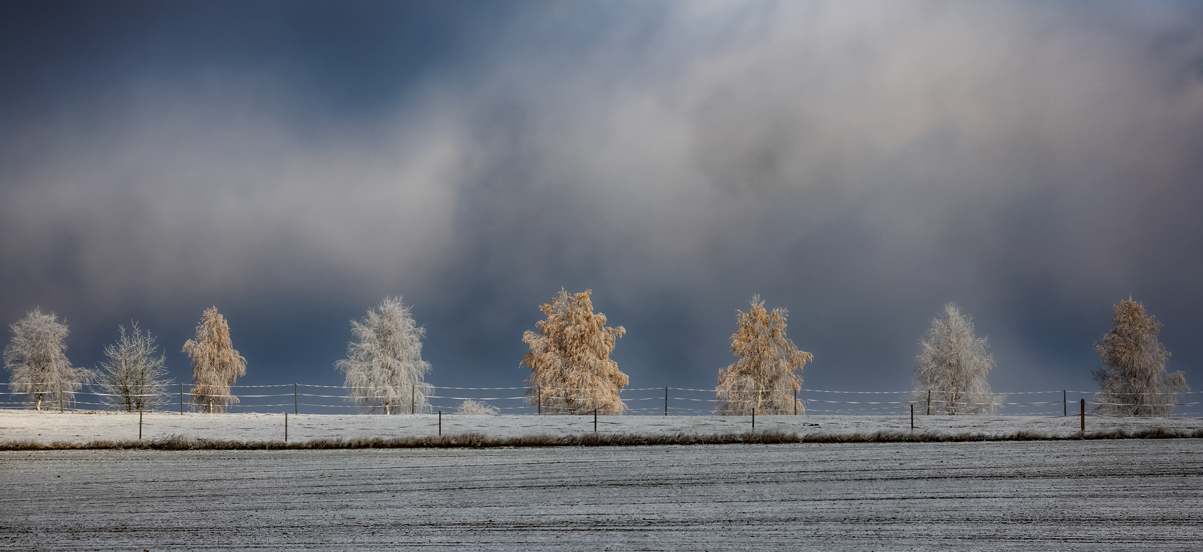 Orlicke Mountains / Orlické hory / Czechia