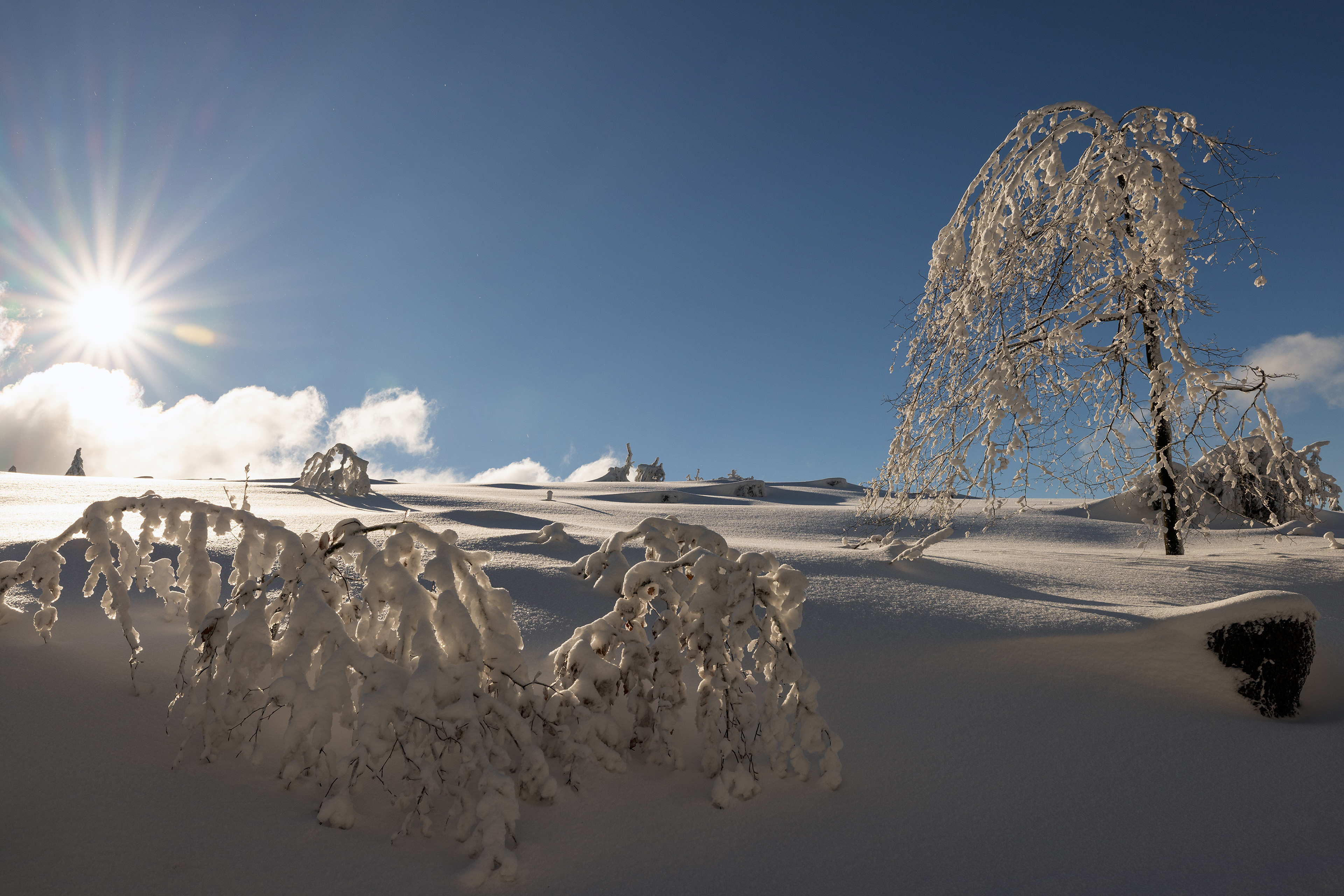 Orlicke Mountains / Orlické hory  / Czechia