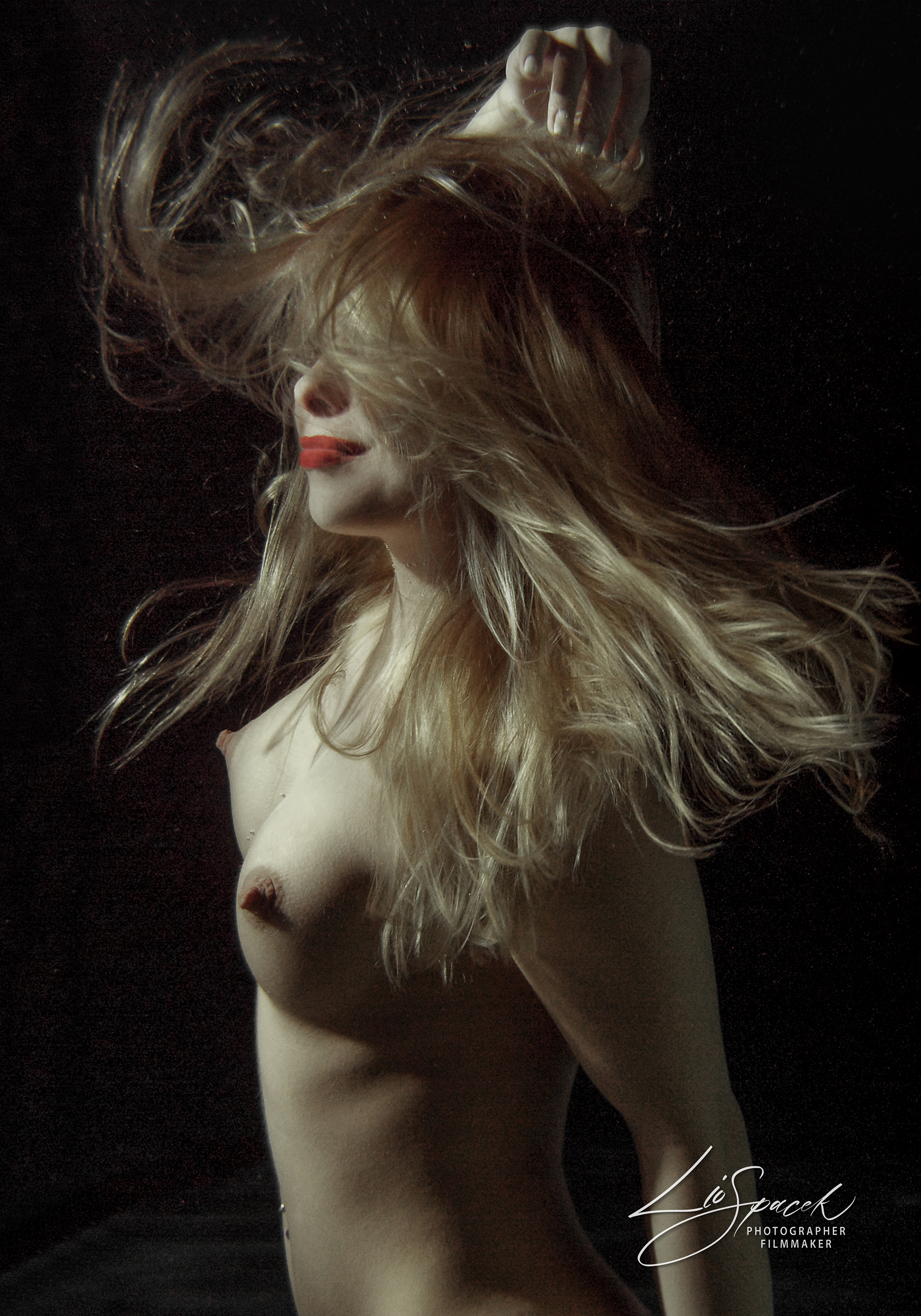 Octopus - size 80x56cm - the photograph is signed and numbered by the author on the back, including an author's certificate (5 originals)