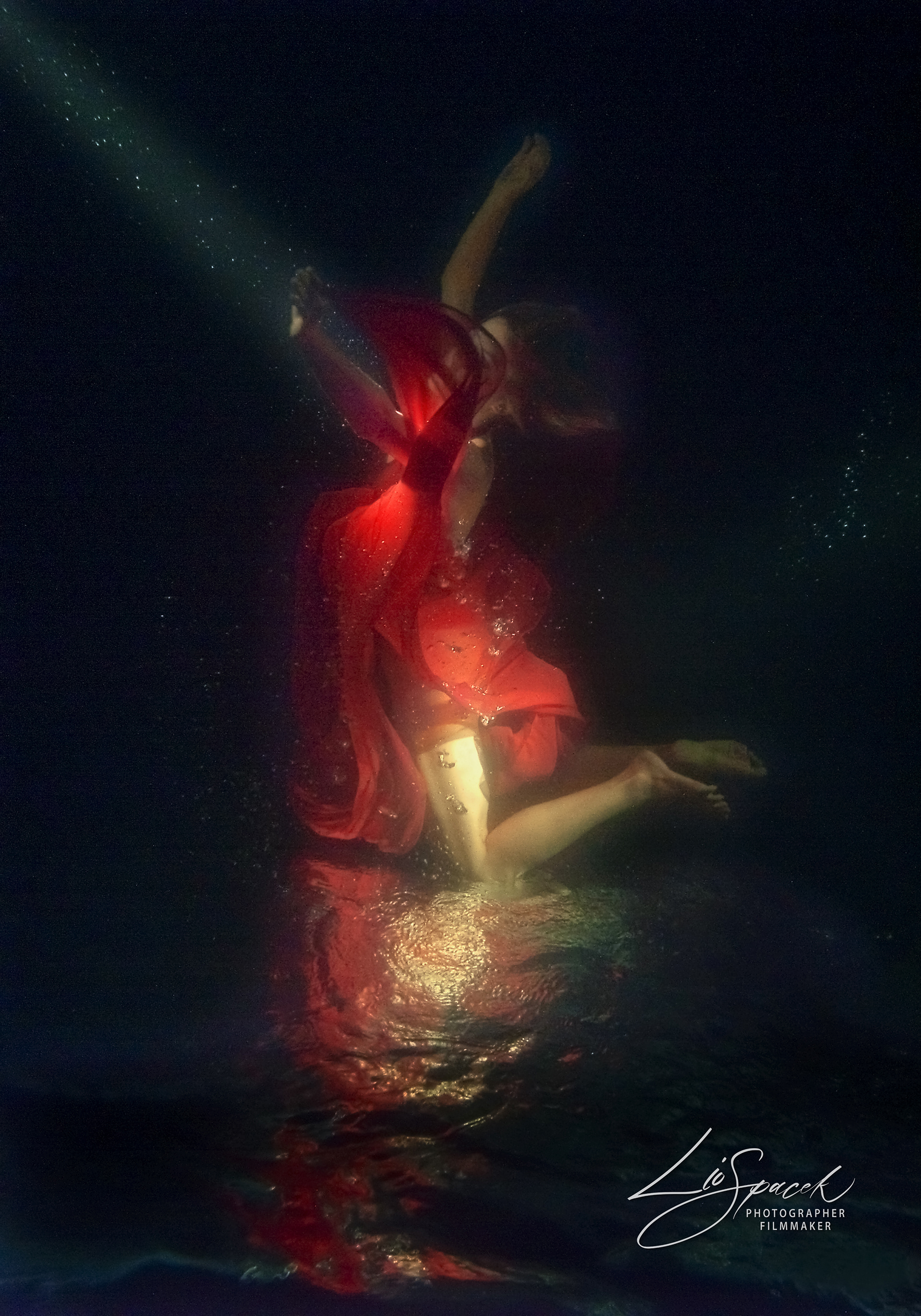 Flower - size 80x56cm - the photograph is signed and numbered by the author on the back, including an author's certificate (5 originals)