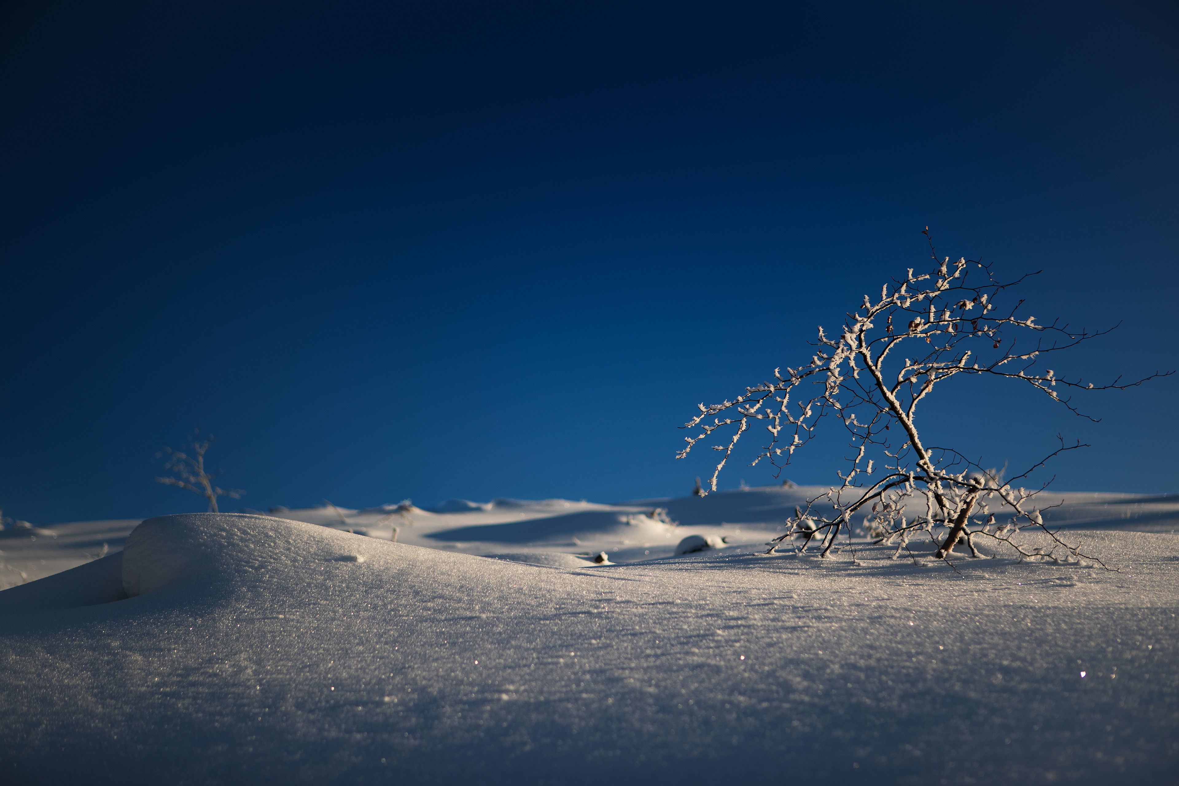 Orlicke Mountains / Orlické hory / Czechia