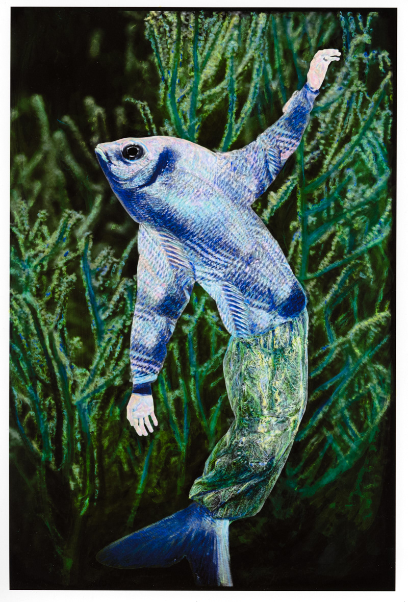 Mating dance