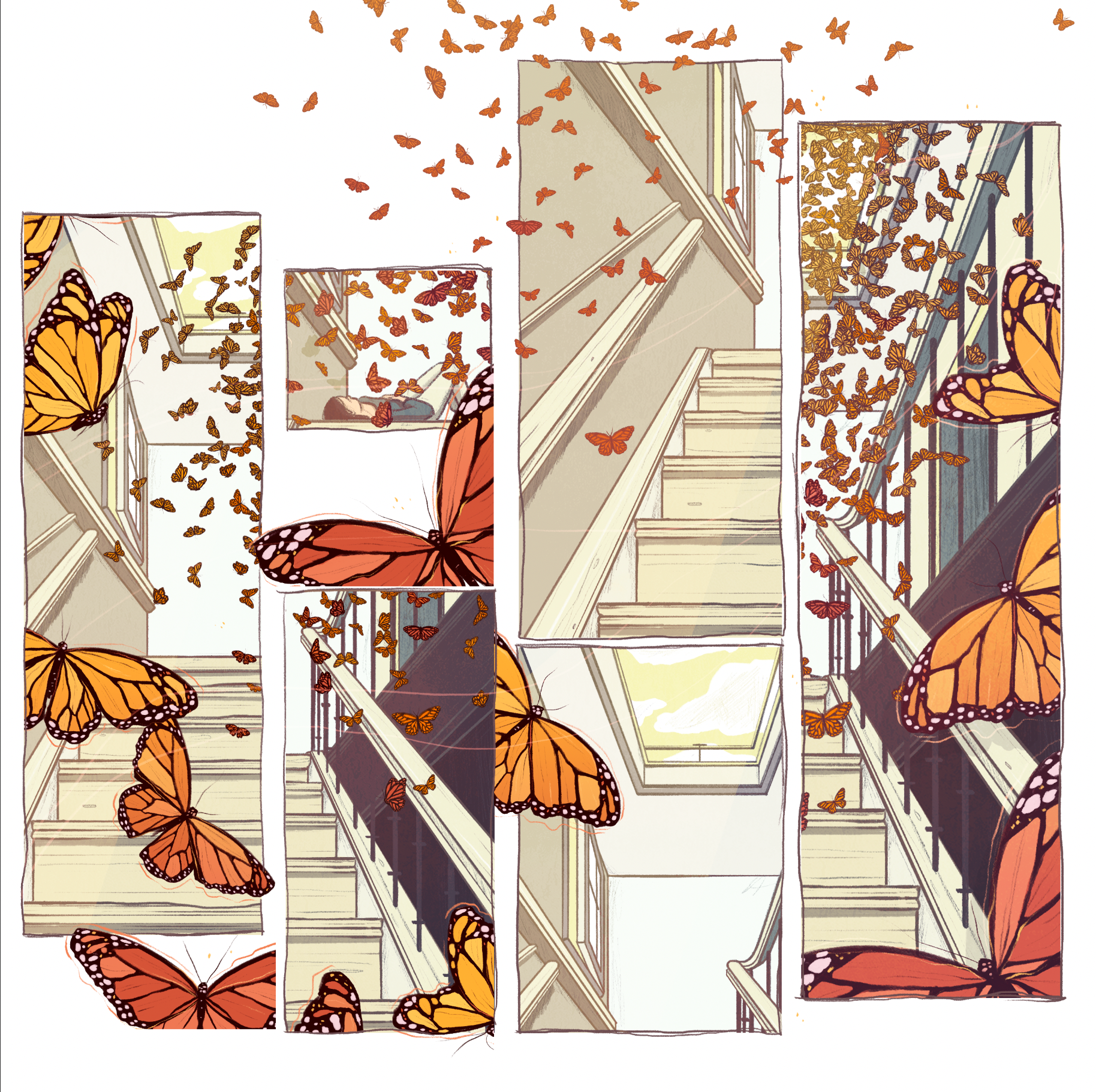 monarch butterfly illustration