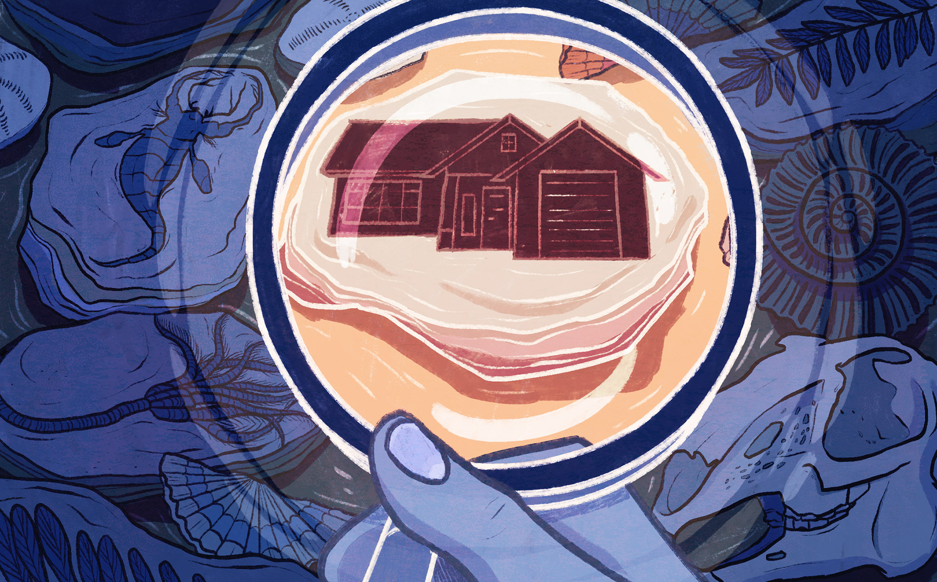 an illustration of a fossil of home under a magnifying glass