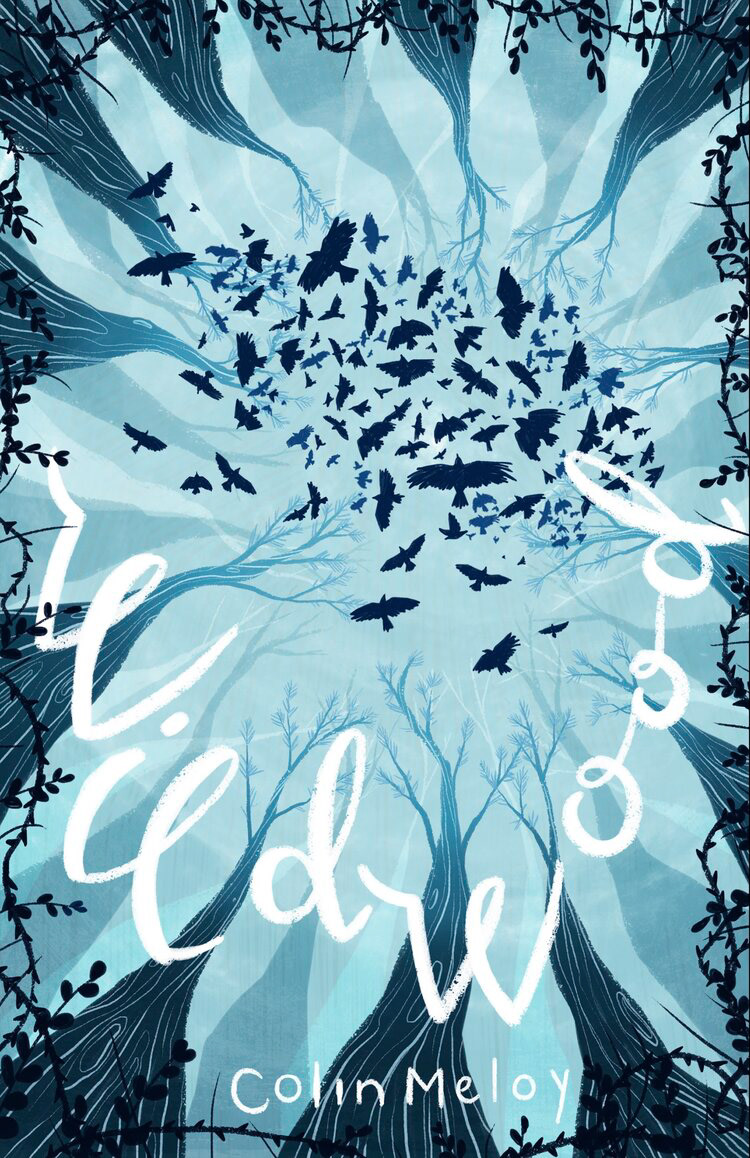 looking up through trees to birds flying over head