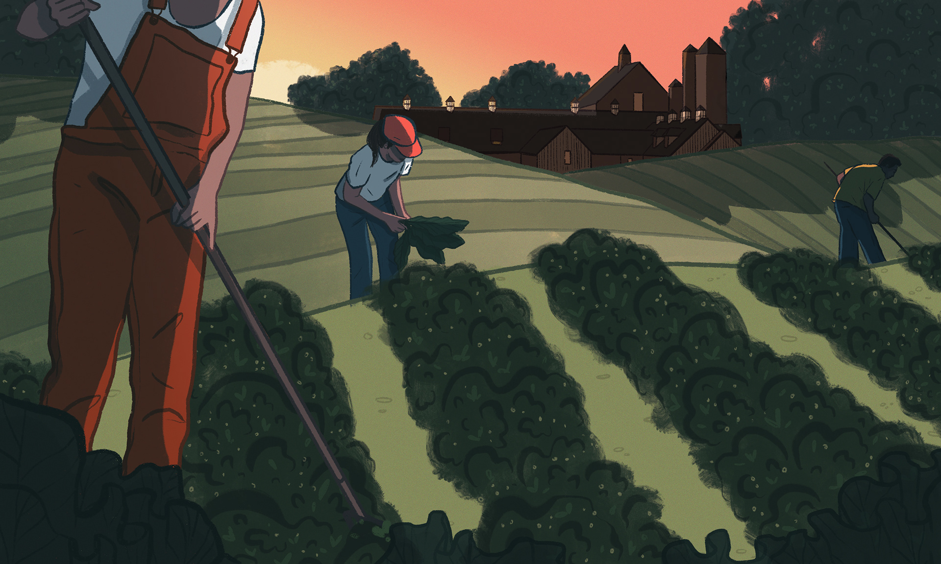 Workers harvesting vegetables in the field while the restaurant looms in the background