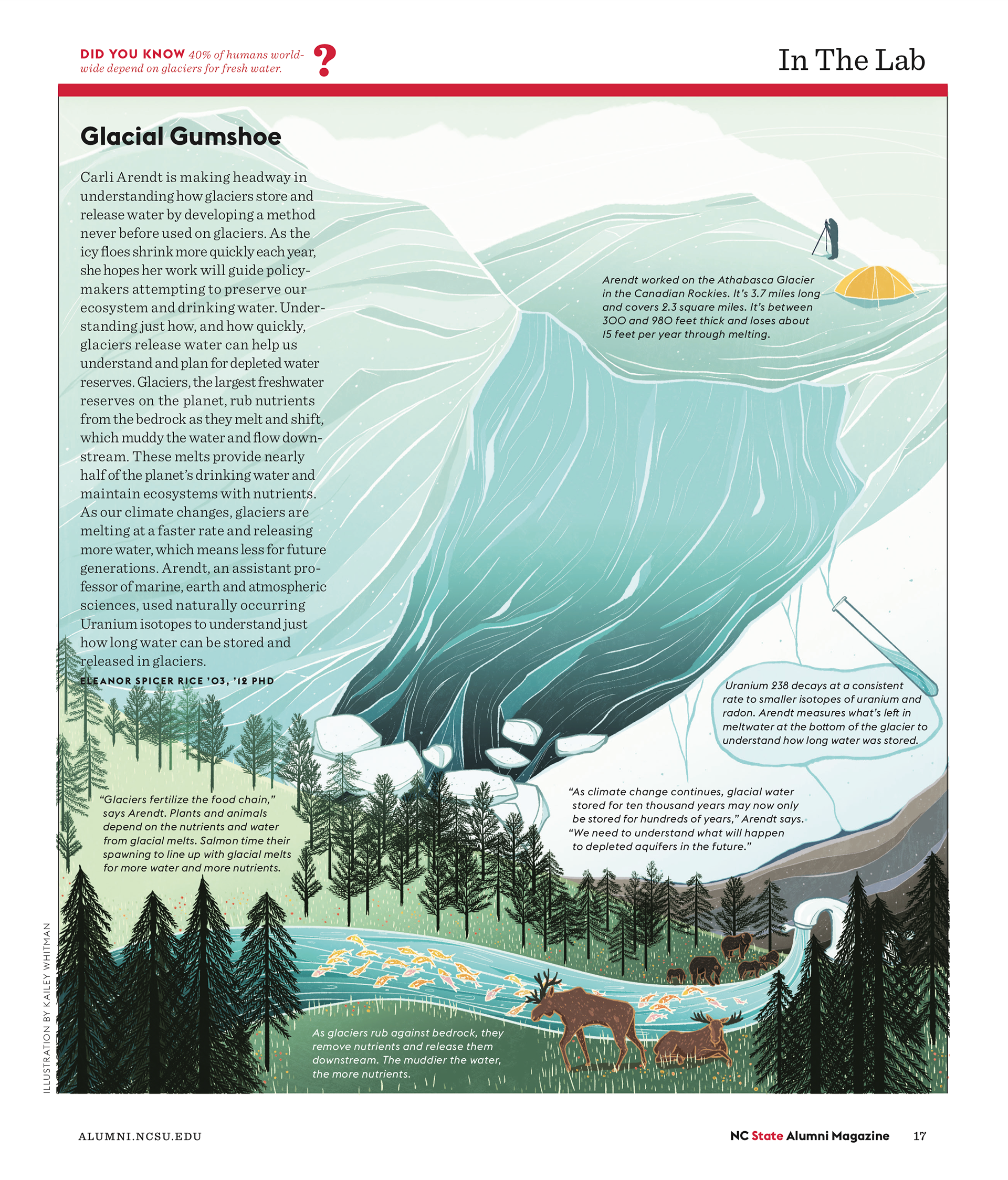 glacial meltwater flows into the ecosystem