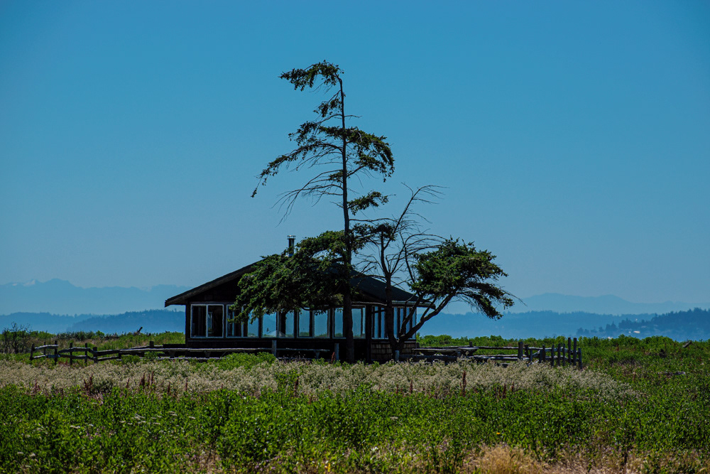 "Camano Island Cabin", Digital Photograph, 7.8.2024
