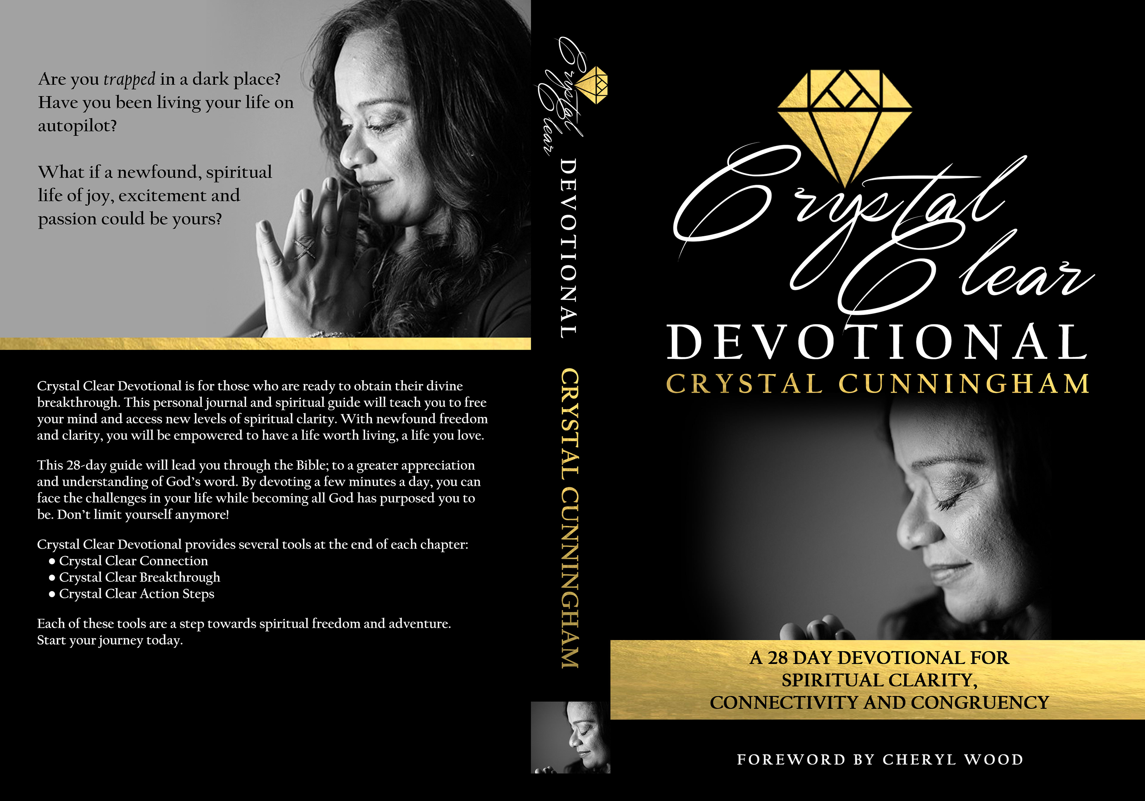 Logo + Book Cover Design