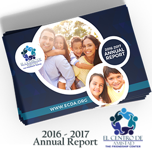 Annual Report Design + Layout